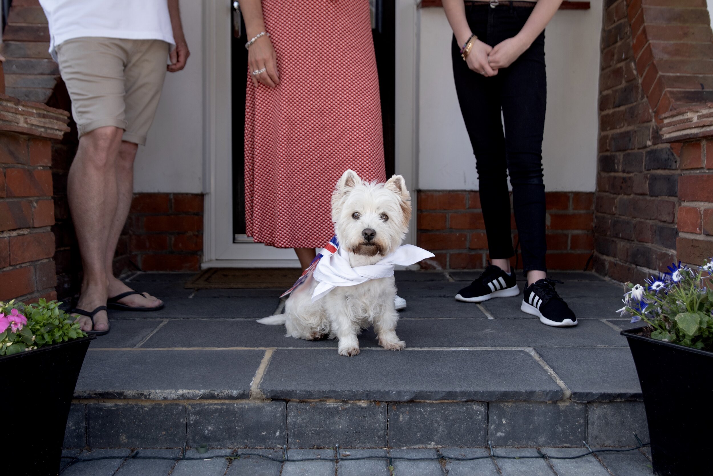 A small white dog with a ribbon around its neck sits on a door step, with three people whose legs are visible standing behind it."}
