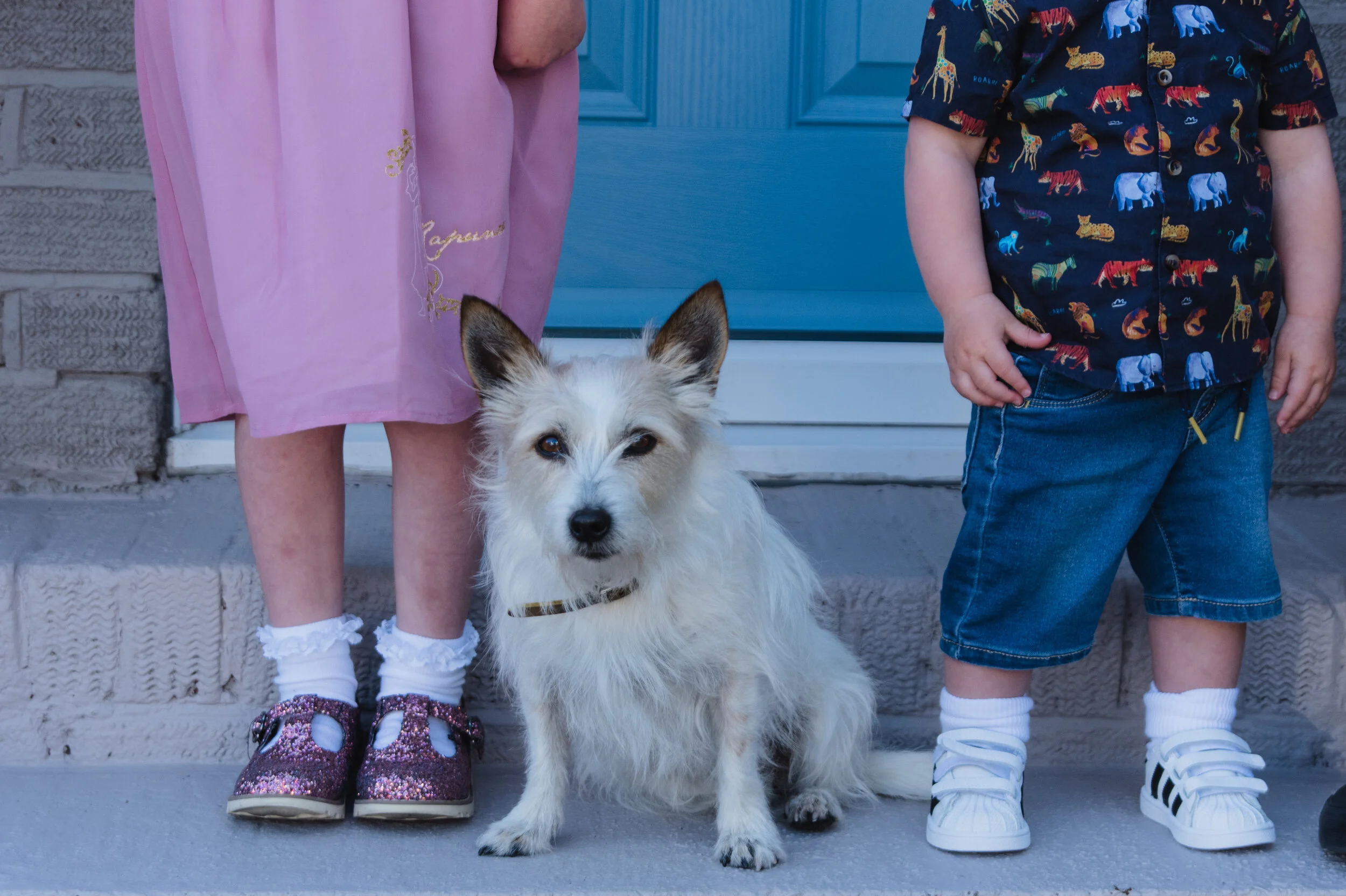 Close-up of a small white dog sitting between two children. One child is wearing a pink dress with glittery shoes, and the other is in denim shorts with a colorful animal-print shirt and sneakers.