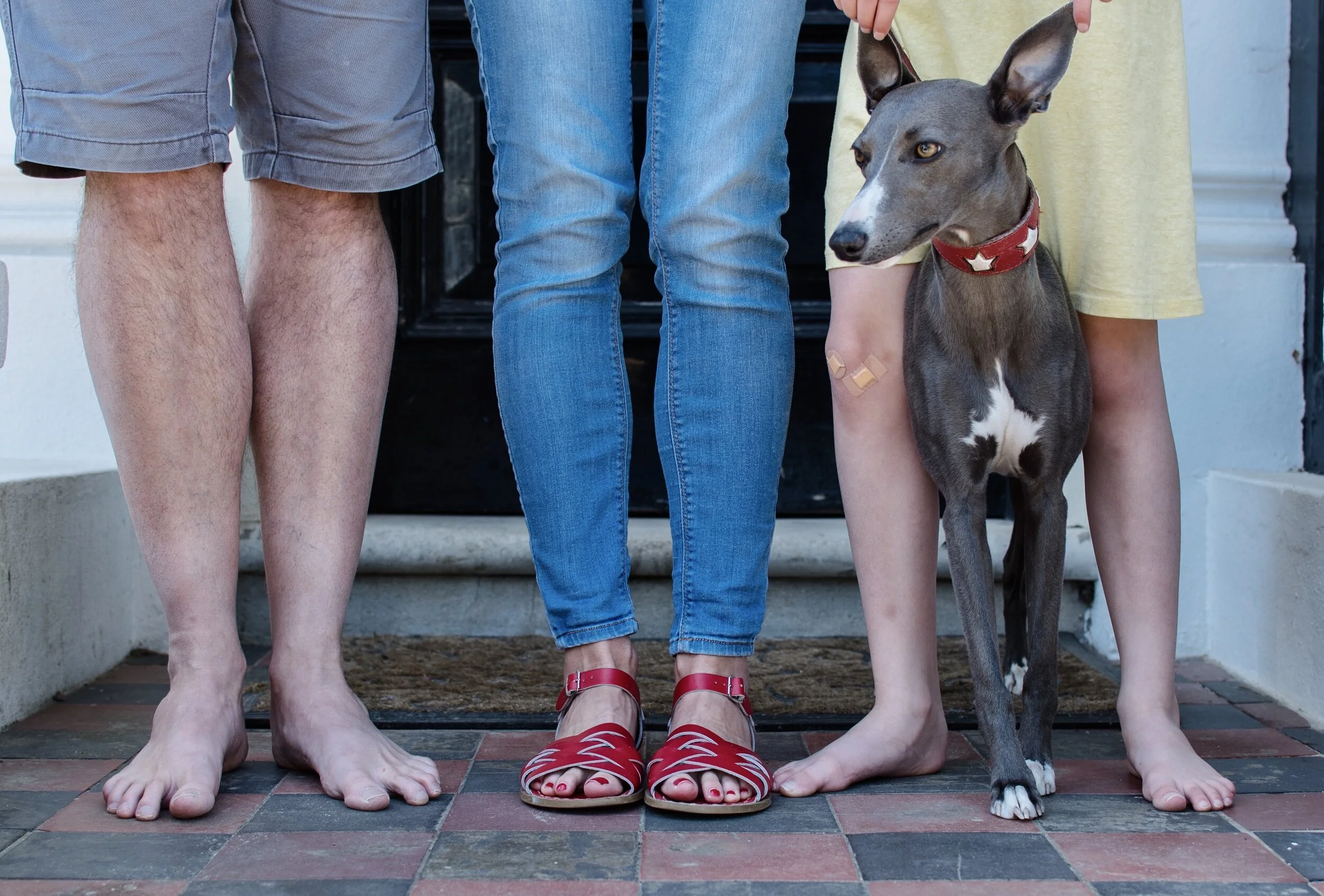Front view of three people and a greyhound dog standing on a tiled floor. One person is wearing red sandals and jeans, another is barefoot wearing shorts, and the third has a yellow dress with a bandaged knee. The dog has a red collar and is standing