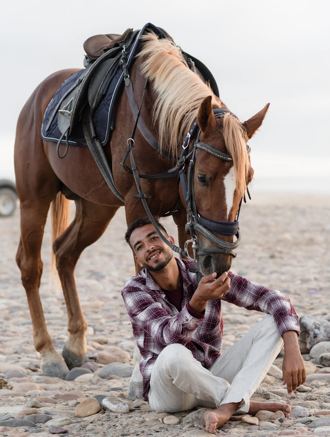Cannot believe it&rsquo;s been a week already since we left beautiful Morocco. 

Here are a few frames of the pair of horses I headed over to photograph. 

Dallas the bay, and Dream the chestnut are both Barb horses, or Barbary horses, are known for 
