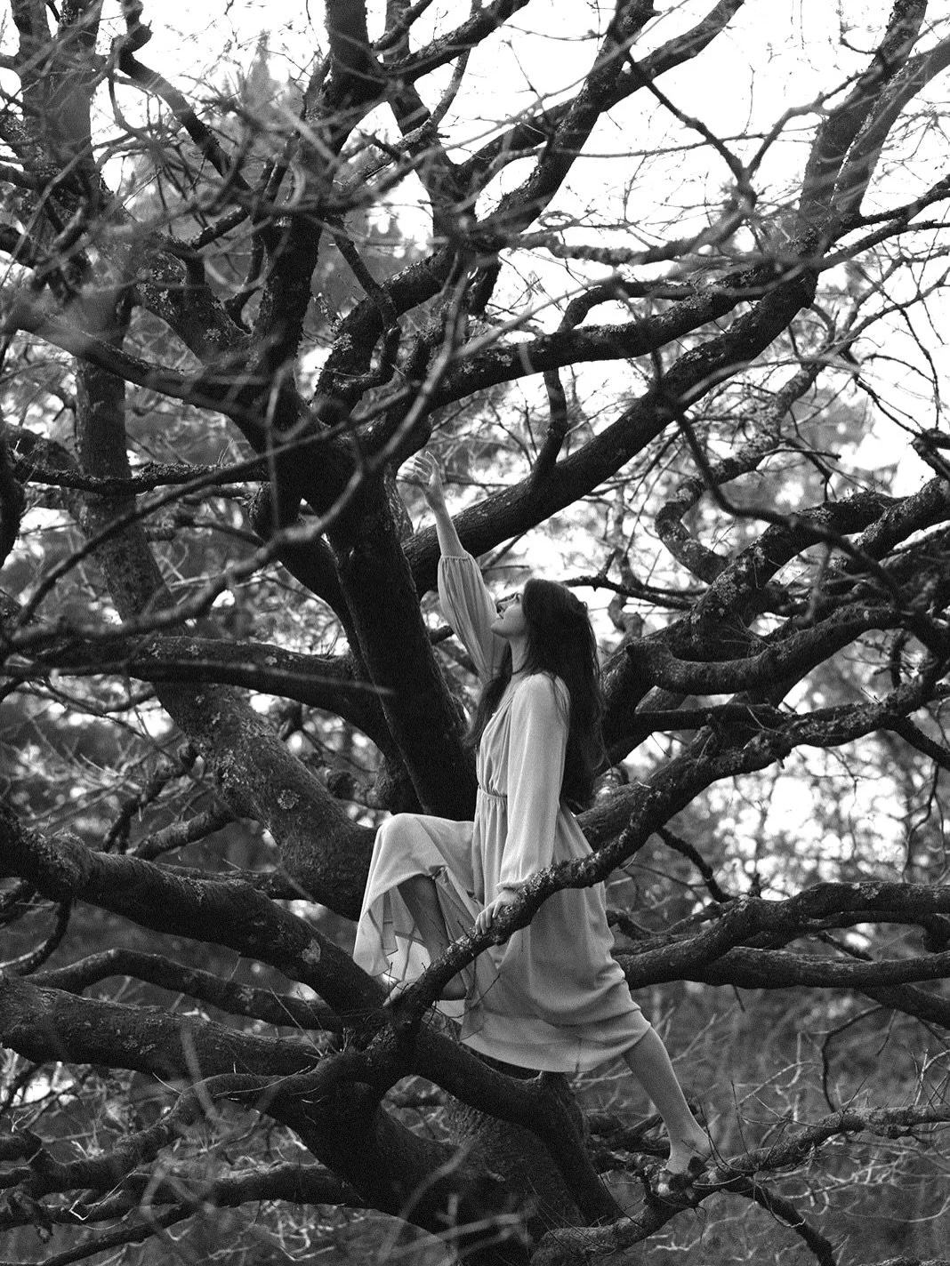 Fern channelling her inner Disney princess. 
A folklore and fairytale inspired photo session amongst nature, against one of my favourite trees! 

#folklore #foragers #winterlight #storytellerphotographer #nature