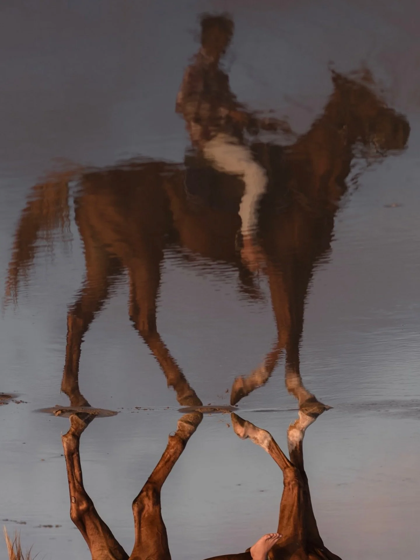 Emergence

Energy.
Movement.
Letting go.

#PVMondayYearOfTheFireHorse
@photovogue