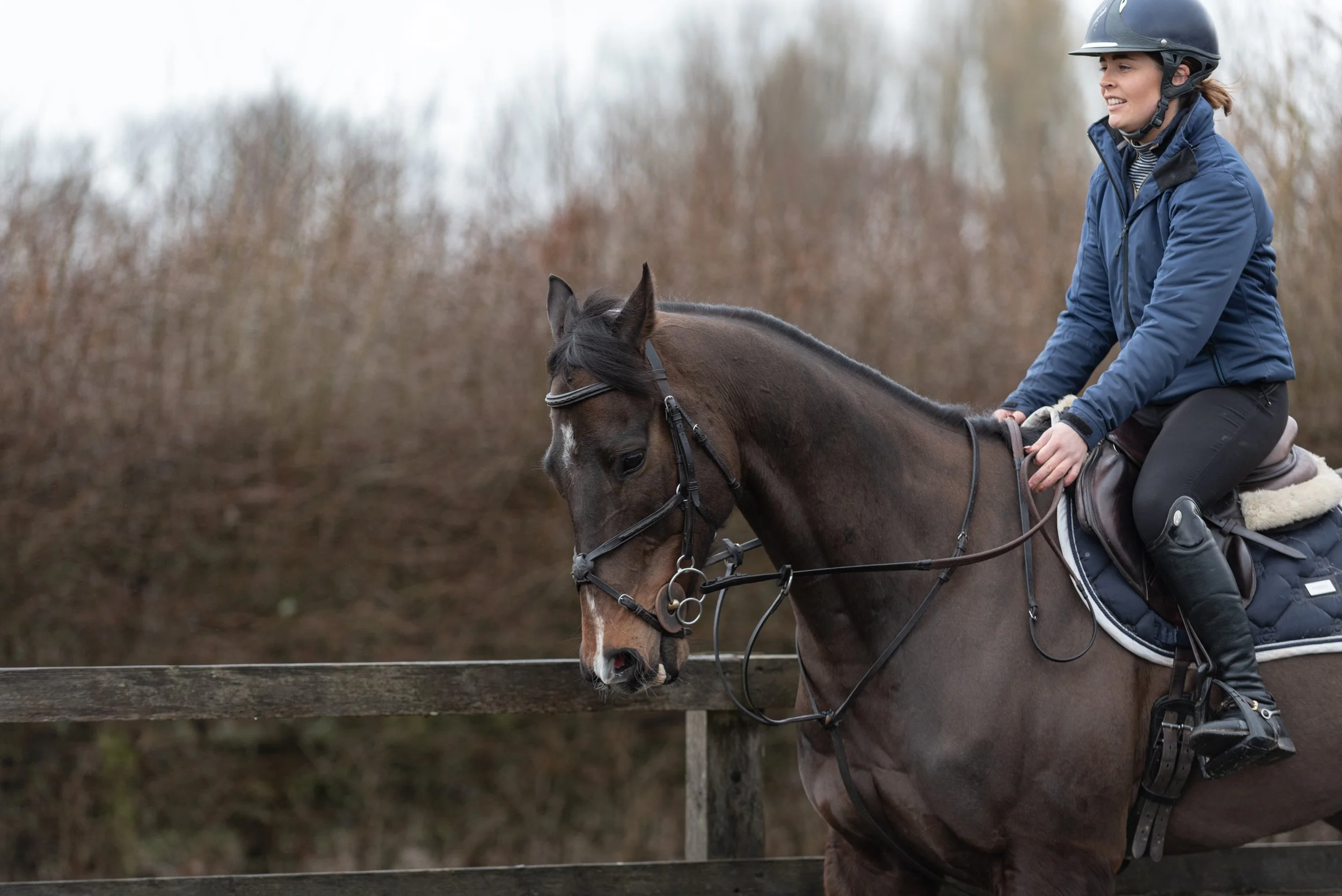 Person riding a horse wearing a helmet and blue jacket, with a wooden fence and trees in the background.