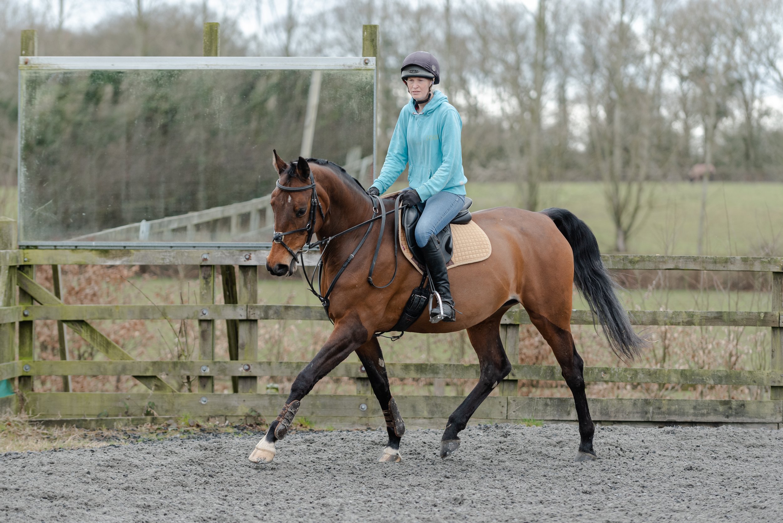 Person riding a bay horse in an outdoor arena with a wooden fence and trees in the background.