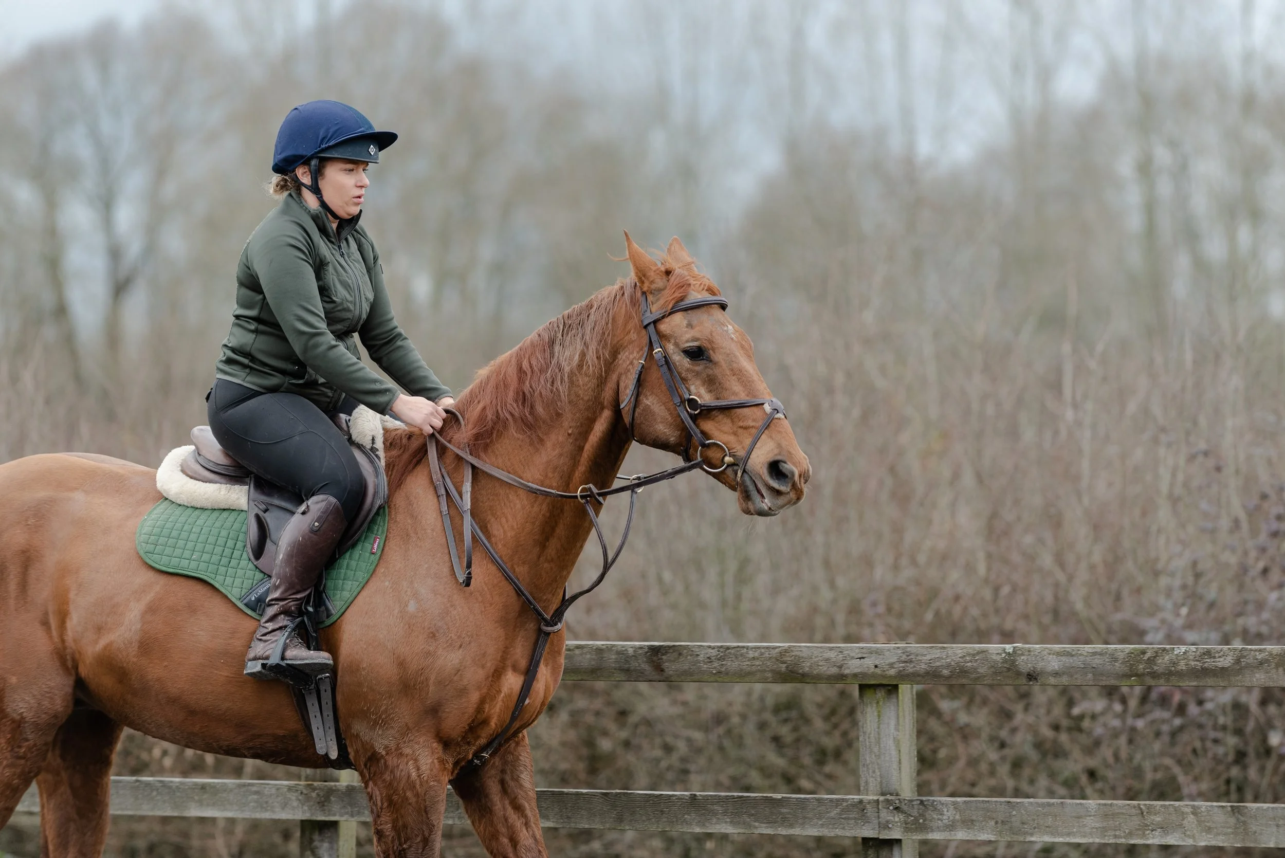 A person riding a chestnut horse in an outdoor setting, wearing a helmet and equestrian attire.