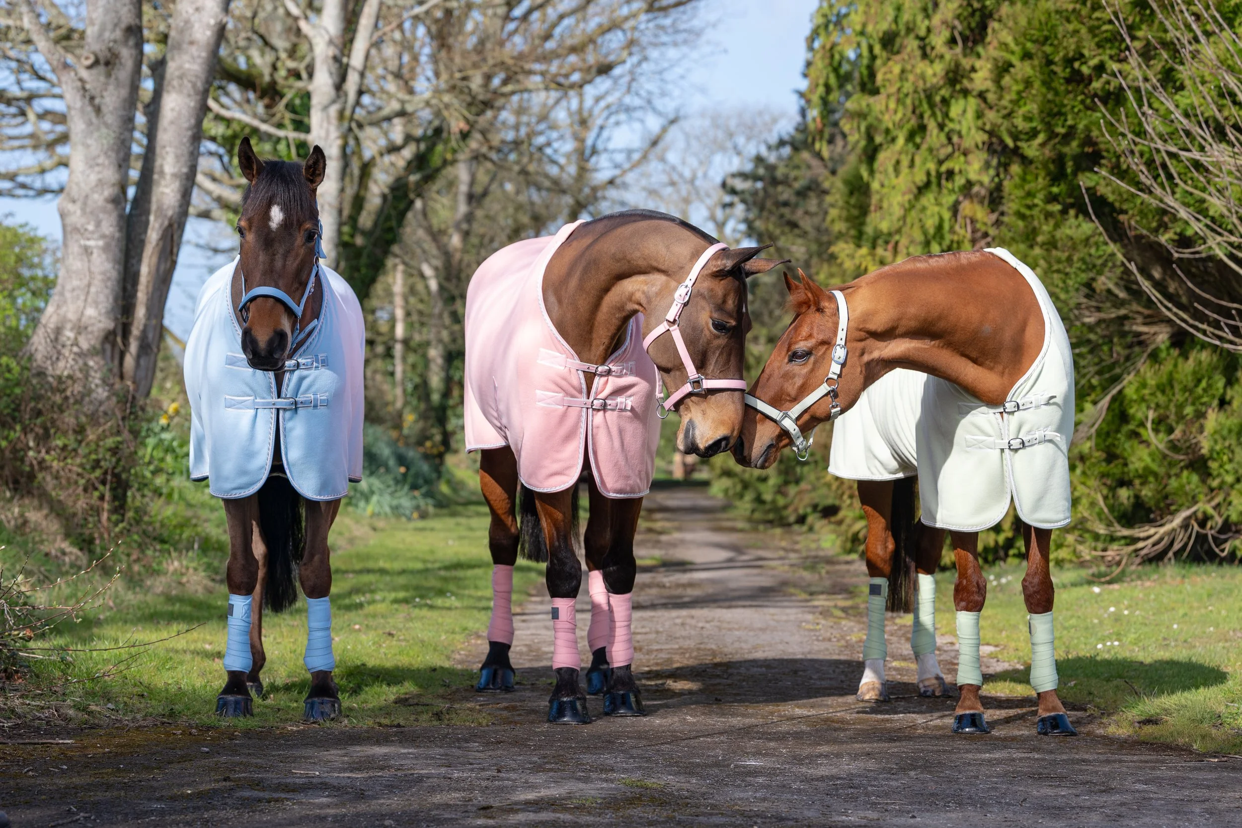 trio of horses wearing fleece rugs