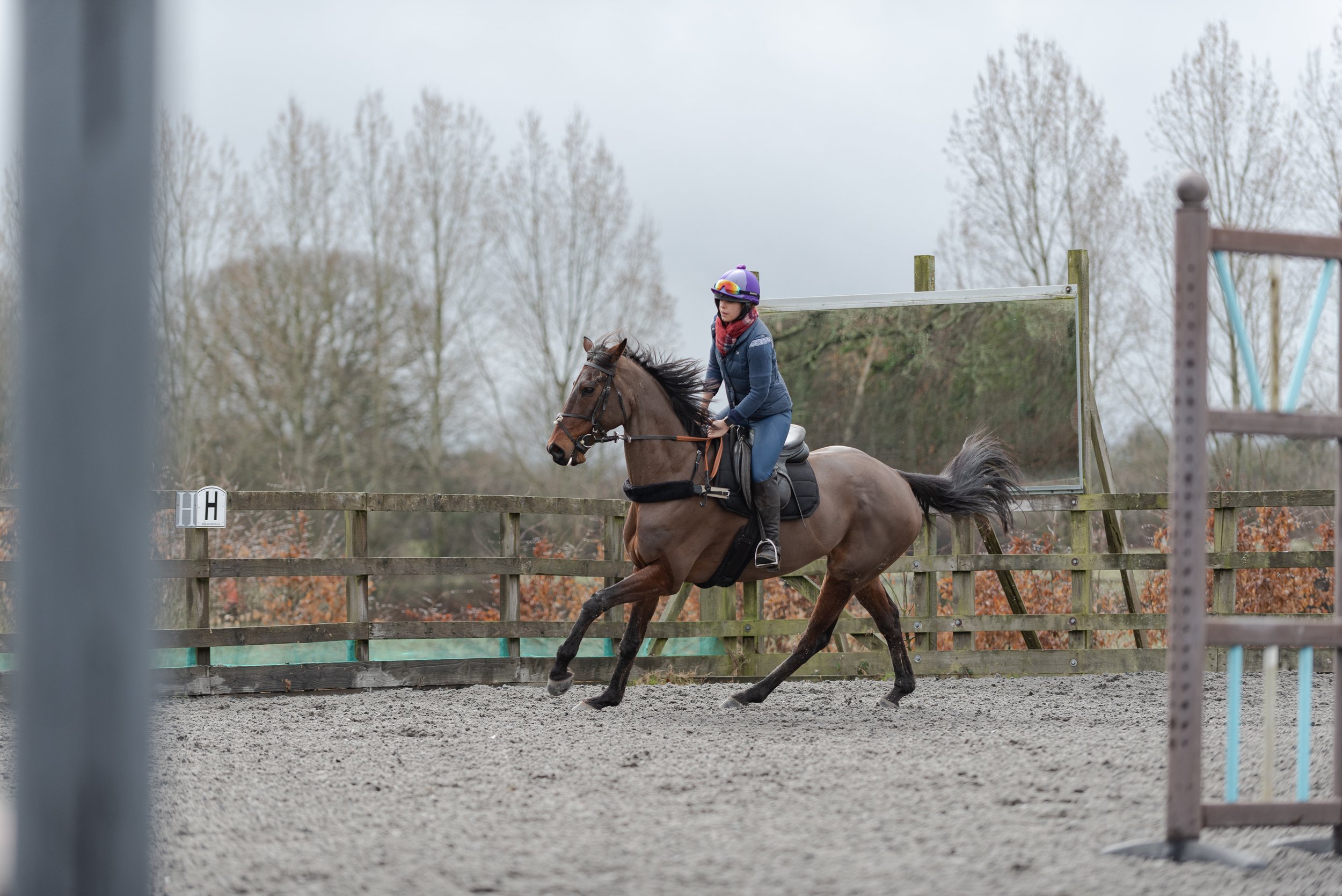 Person riding a horse in an outdoor arena with a wooden fence and trees in the background.