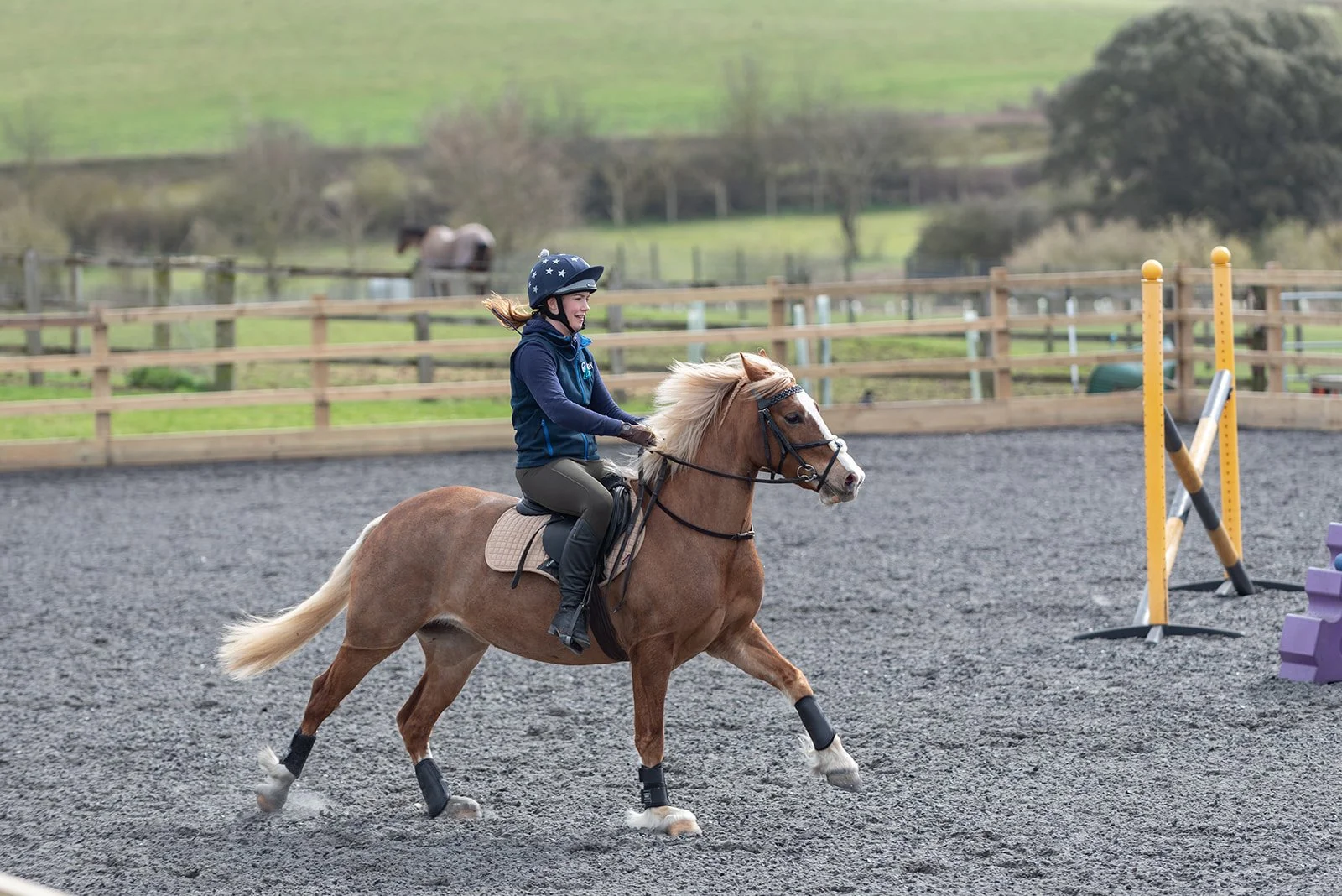 A woman riding a horse in an outdoor equestrian arena, wearing a helmet and riding gear. The horse is moving energetically on a gravel surface, with a fence and grassy field in the background.
