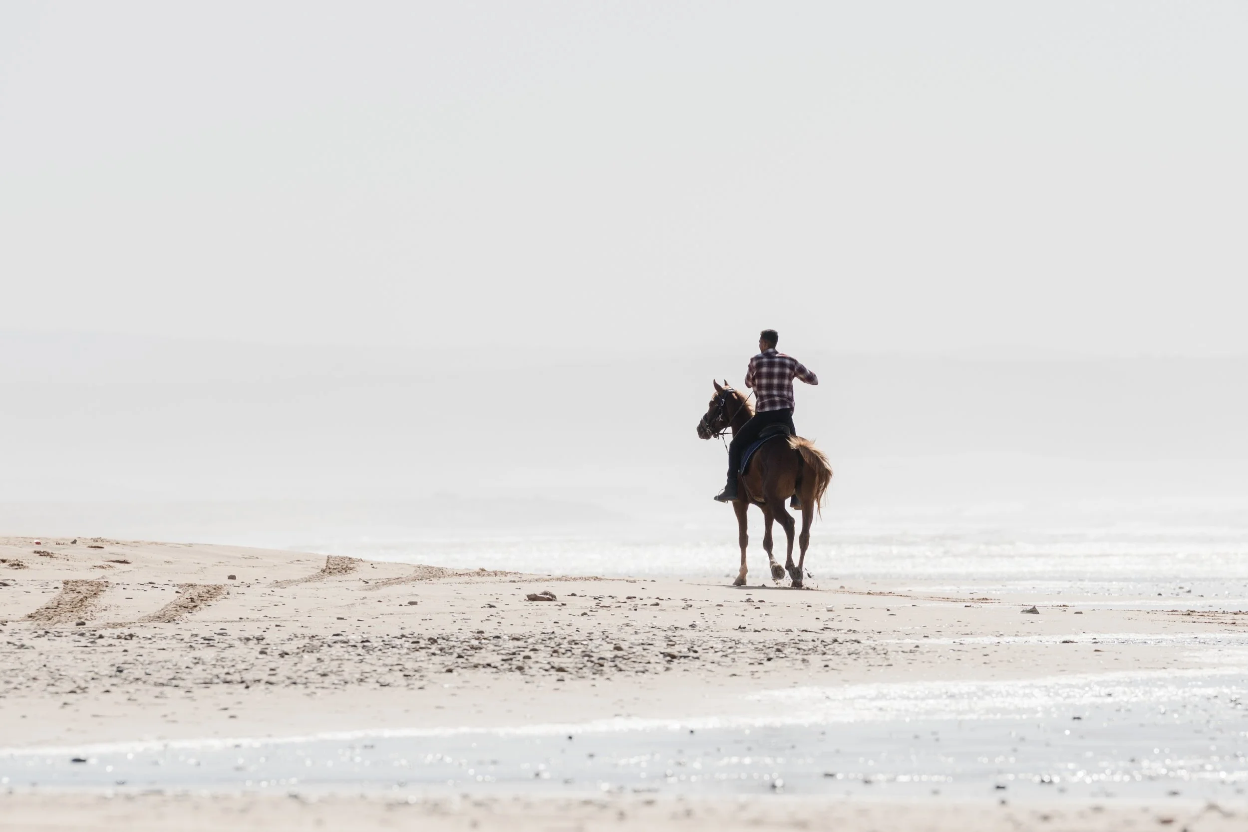 Equine Lifestyle & Travel