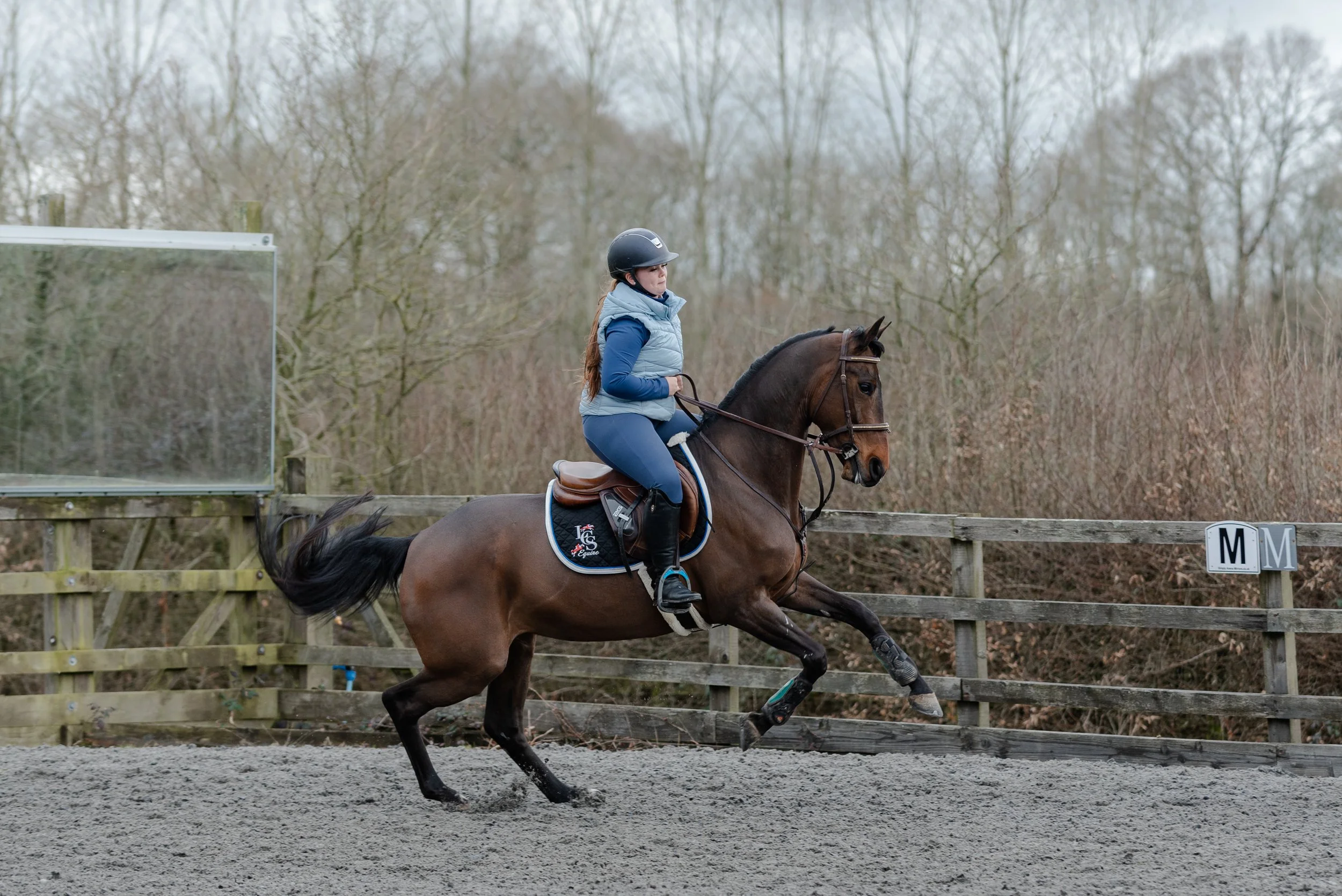 A person riding a bay horse in an outdoor arena, wearing a helmet and equestrian gear.