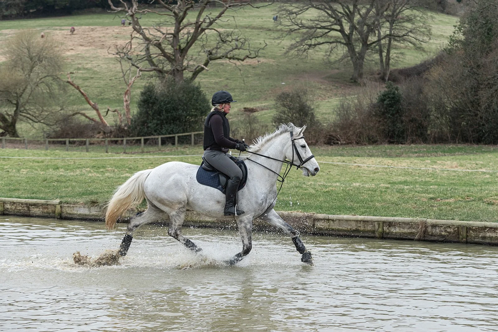 A person riding a grey horse through a shallow water obstacle in a grassy, tree-lined outdoor area.