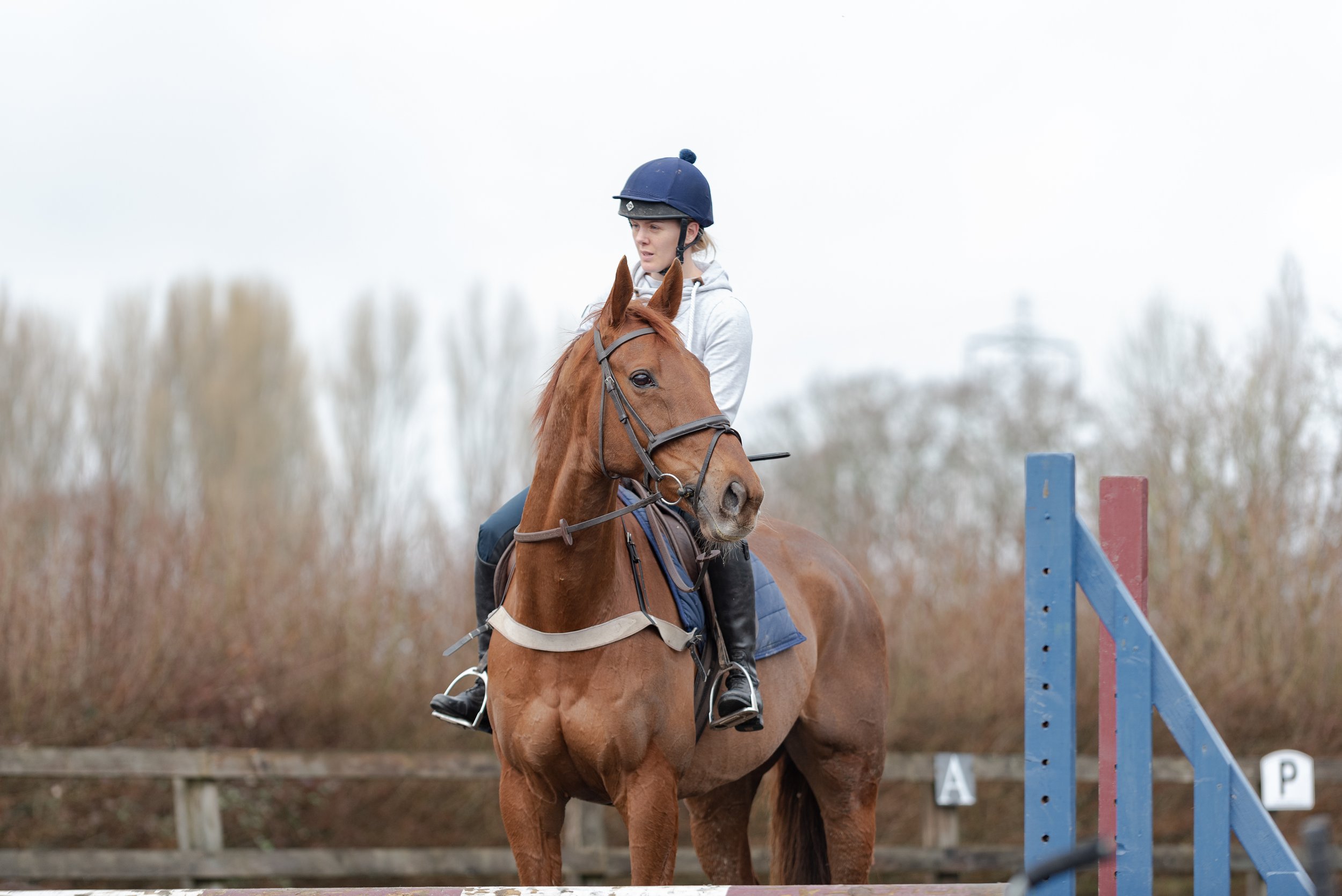 A person wearing a helmet riding a chestnut horse near a jump in an outdoor equestrian arena.