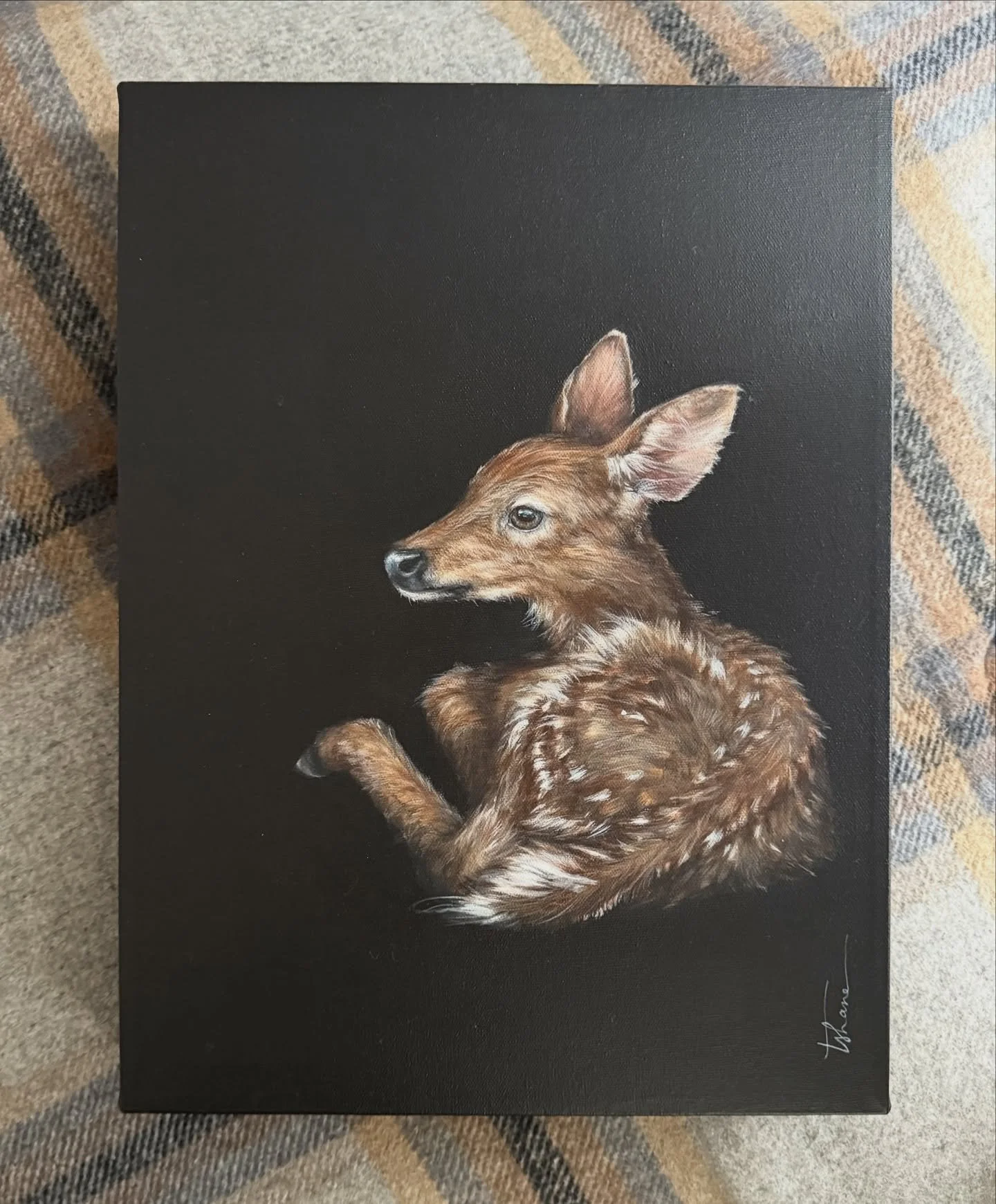 Come celebrate sweater season with me! I mean who can resist a baby fawn (or fox) all wrapped up in a cozy throw?

#sweaterseason#bringtheoutdoorsin #mcmichaelvolunteercommittee