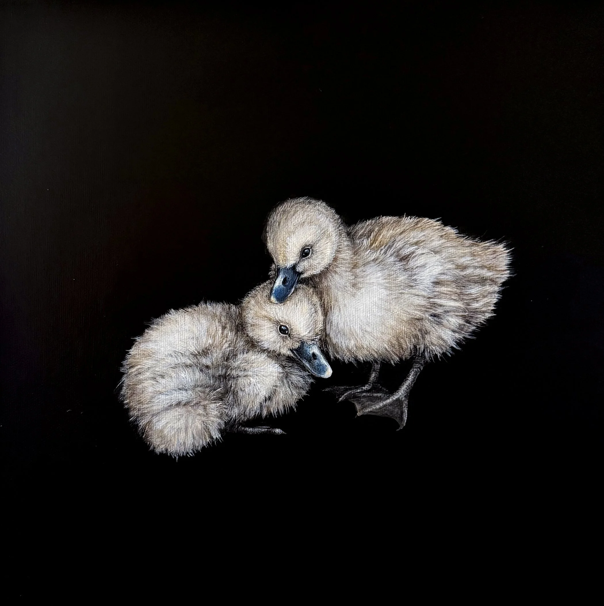 Soft Landing - full.jpg