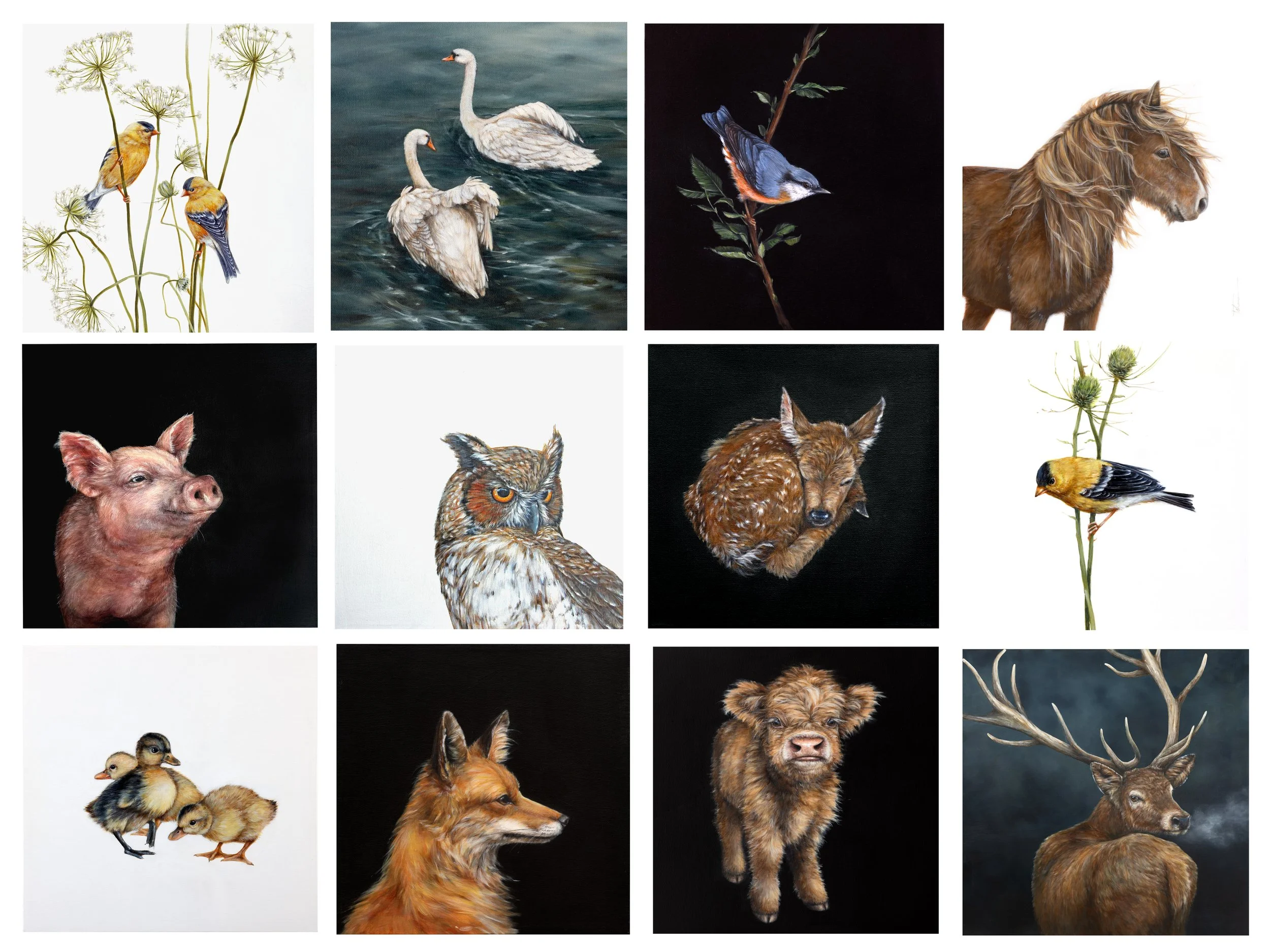 Animal calendar sample 2027.jpg
