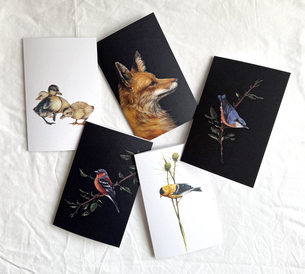 greeting cards -animals.jpg