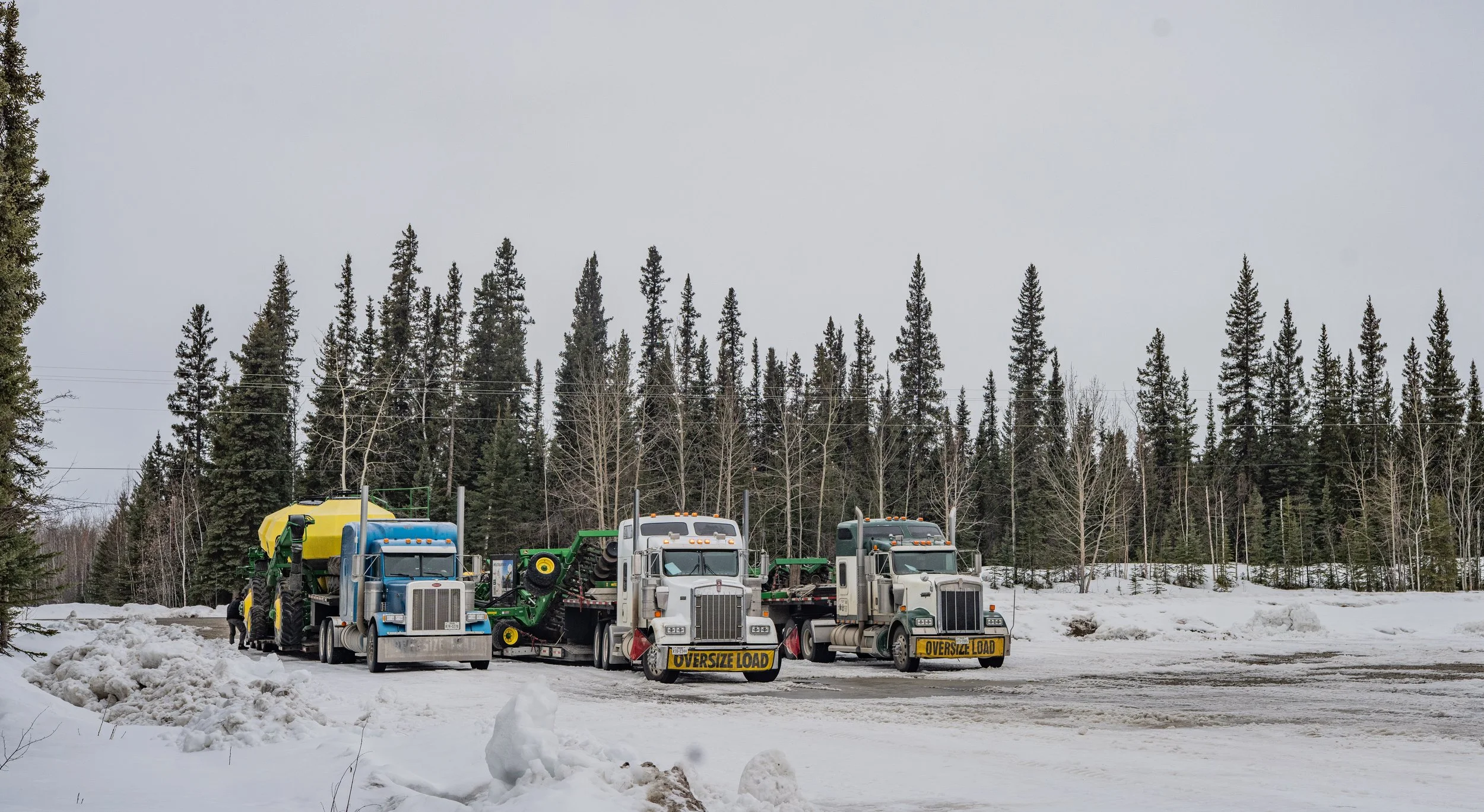 Arrival to the Farm in Alaska