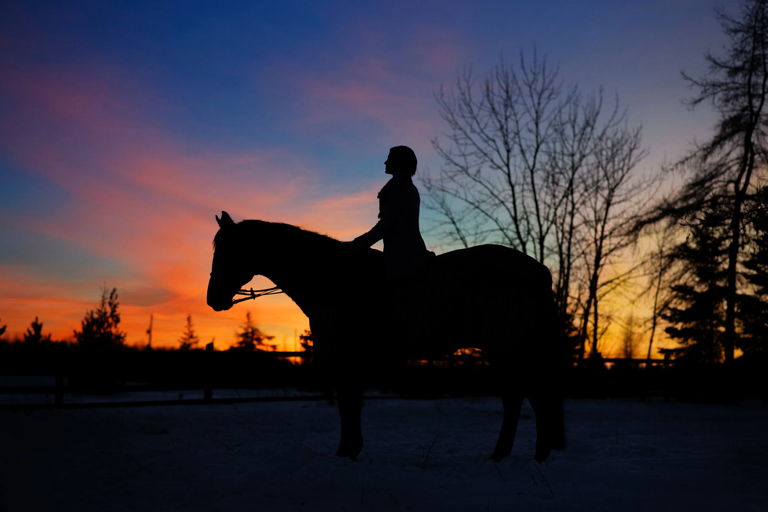 What Can I Ask My Companion Animal in Spirit?