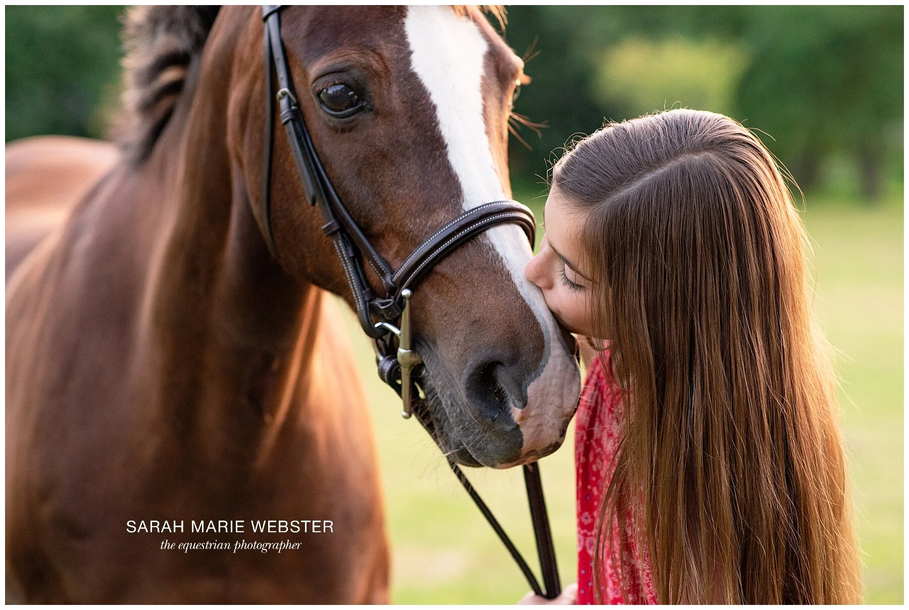 A young girl with long brown hair and glasses gently kisses a chestnut pony's face in a green outdoor setting.