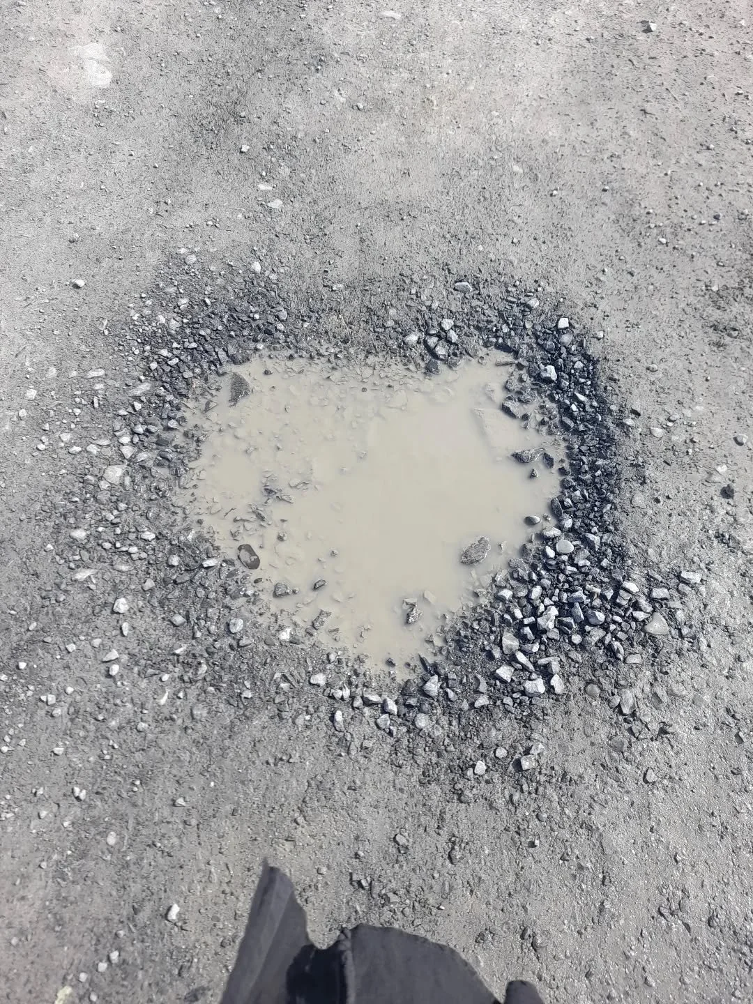 A puddle, by any other name 💛
Spent the day in Spanish point today  foraging seaweed with the Clare women's collective. I learned so much about the goodness of the sea and the depth of love life has for us, whether we see it or not 🙏