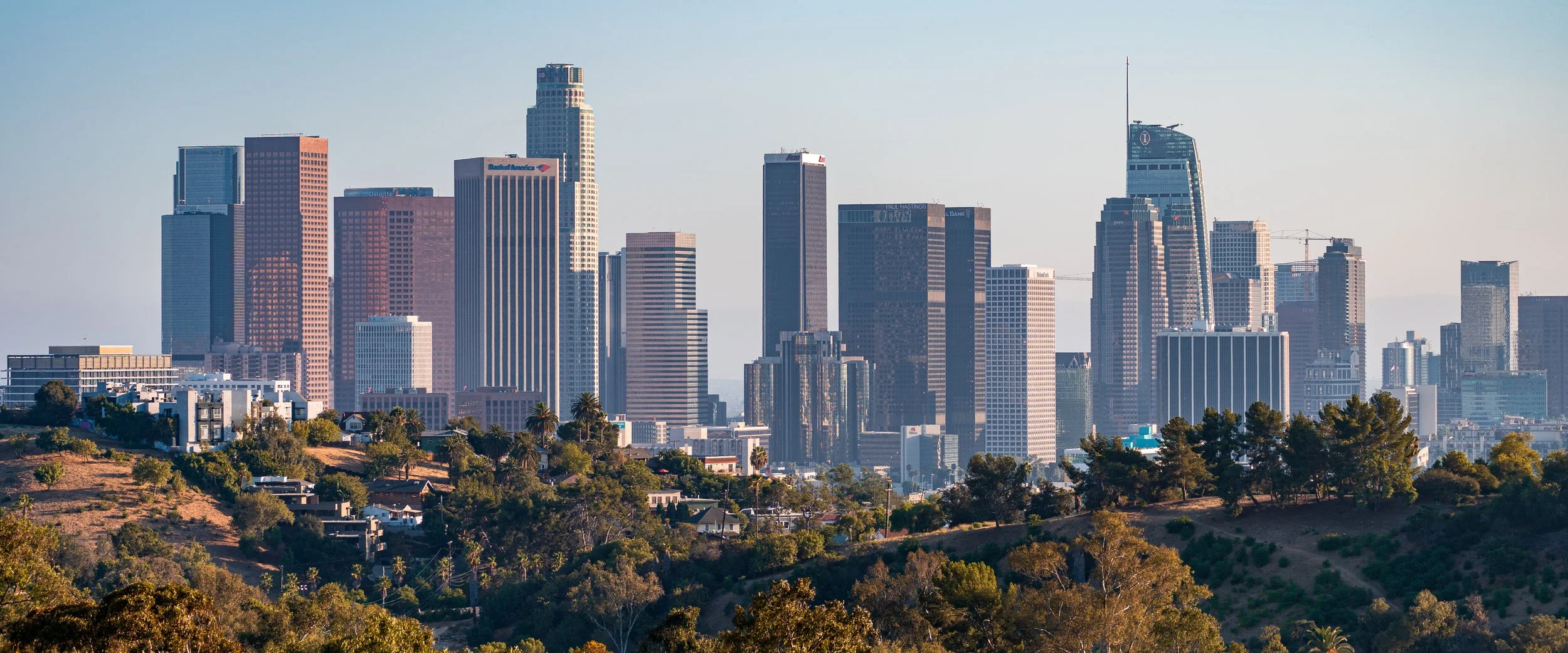 DTLA2022.jpg