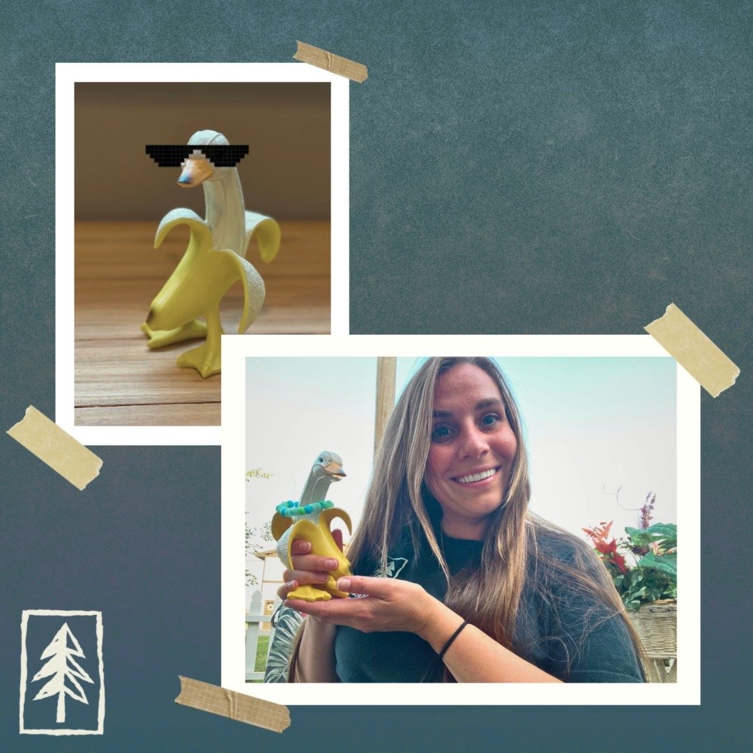 Our next summer Banana Duck recipient is Brooke House, BCBA and Clinical Director of Cadillac Programs! 🎉
From day one, Brooke has brought unmatched heart, humor, and leadership to North Arrow. Over the past six years, she has played a vital role i