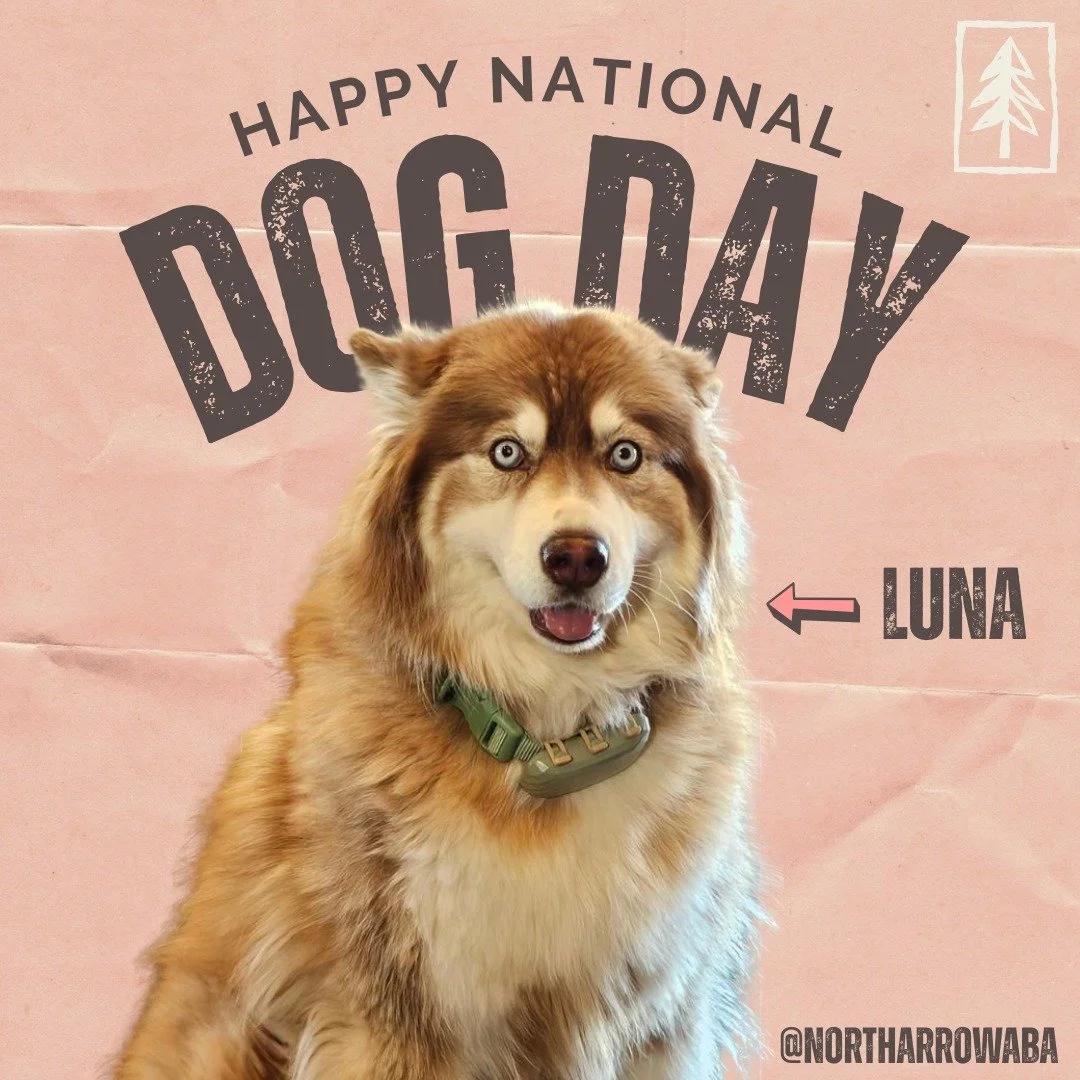 Did someone say it's National Dog Day? We don't take that lightly here at North Arrow ABA- we have a team full of dog-lovers! 🐶🐾 Enjoy these fun headshots of some of our furry friends!
#NorthArrowABA #ABATherapy #appliedbehavioranalysis #NorthArro
