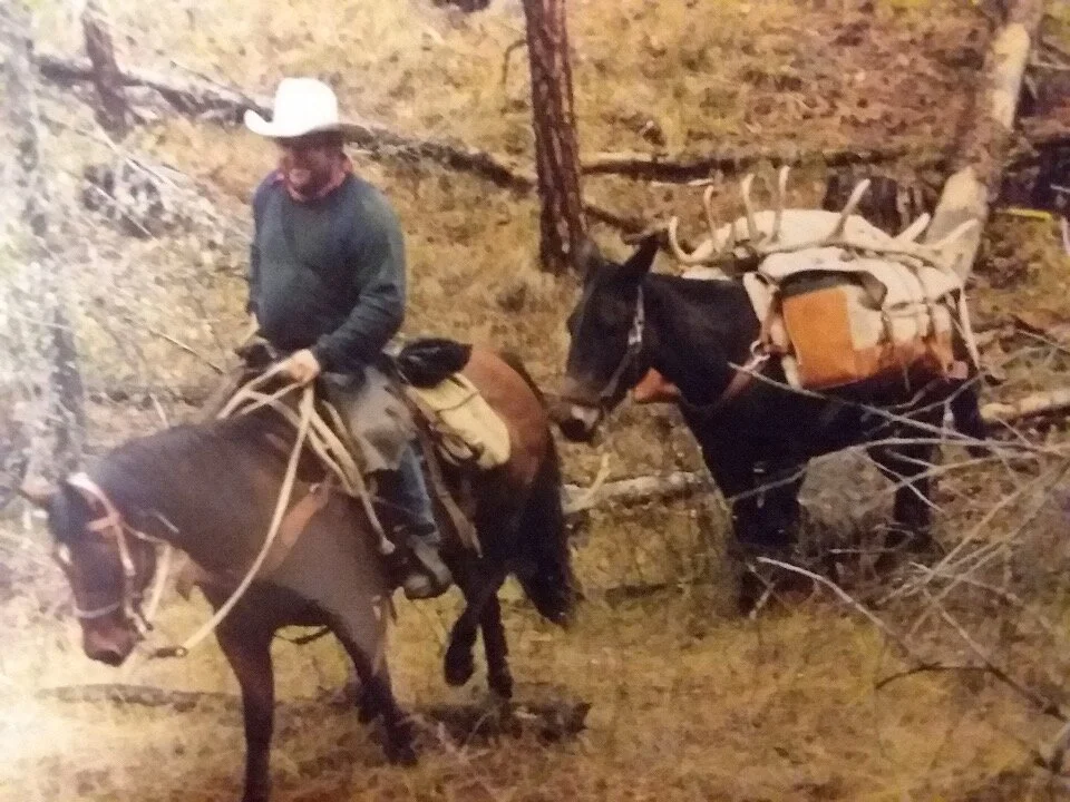 Here’s Mitch, Cody’s dad, riding The Bay Colt and packing a six point in the old days.