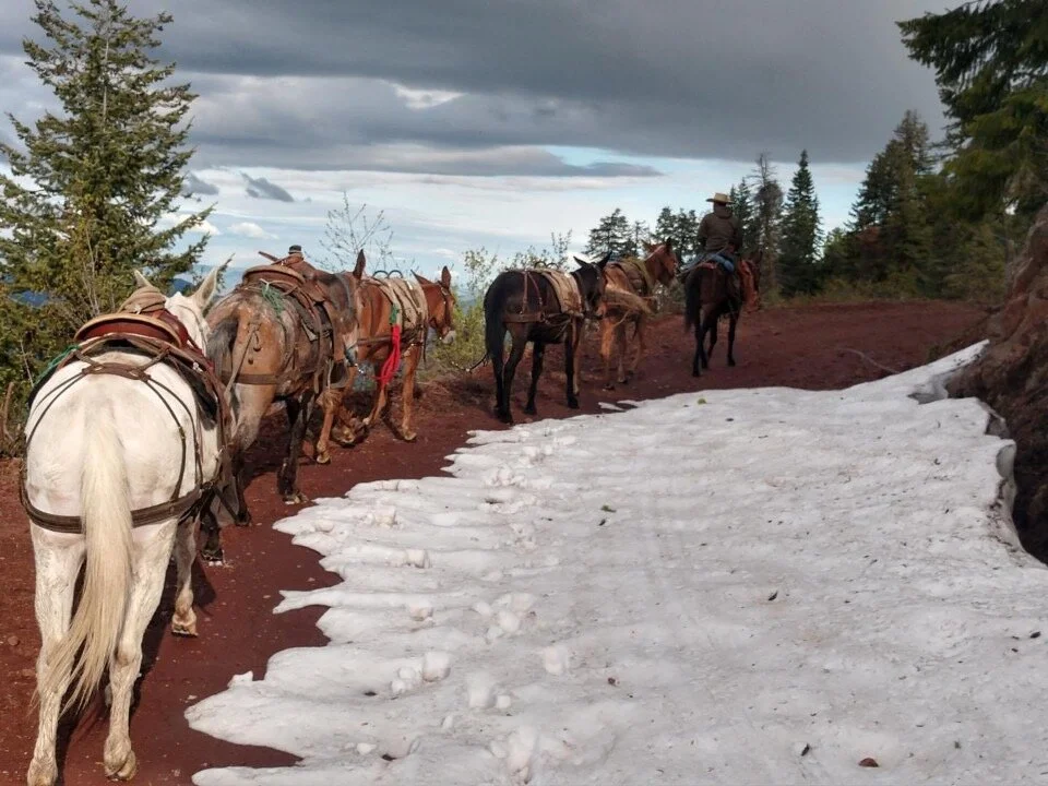 Cody riding the road in the Blues May of 2019.