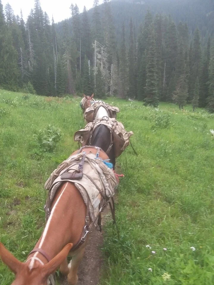 Packing for Washington Trail Association, Goat Rocks Wilderness August of 2019