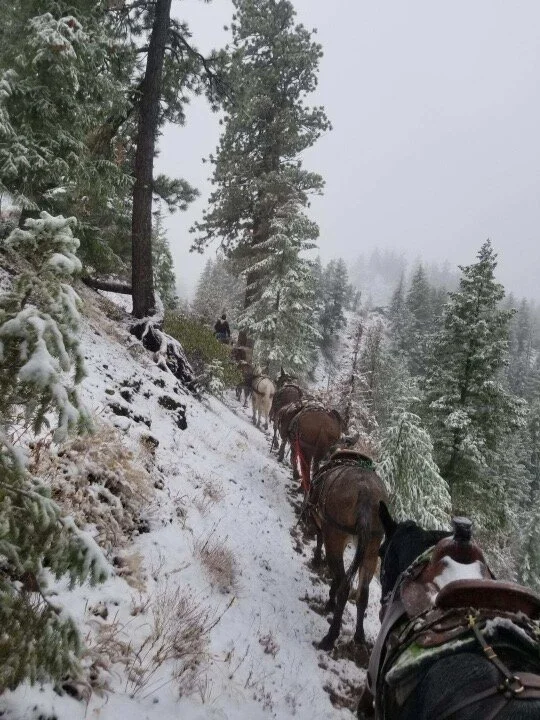 Here’s Cody going in to the Wenaha with the whole team to pick up some rifle hunters