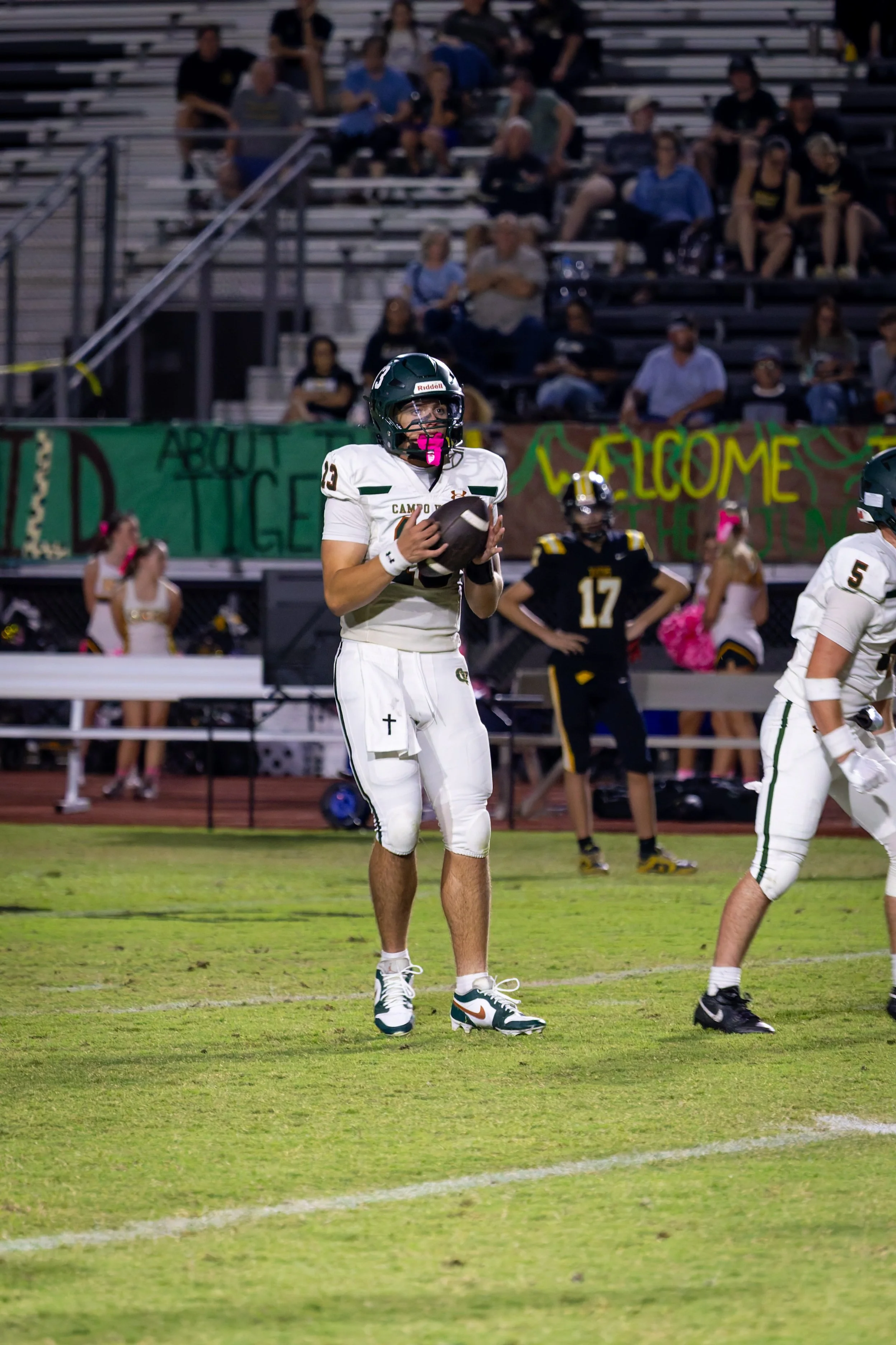 IMG_2266-DxO_DeepPRIME 3.jpg