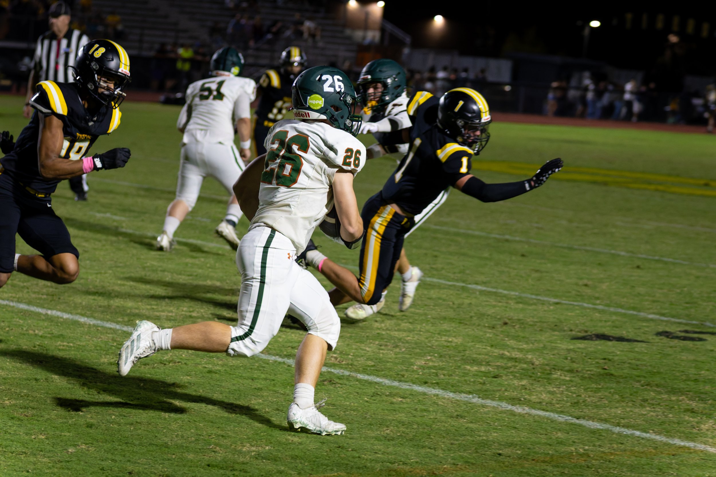 IMG_1782-DxO_DeepPRIME 3.jpg