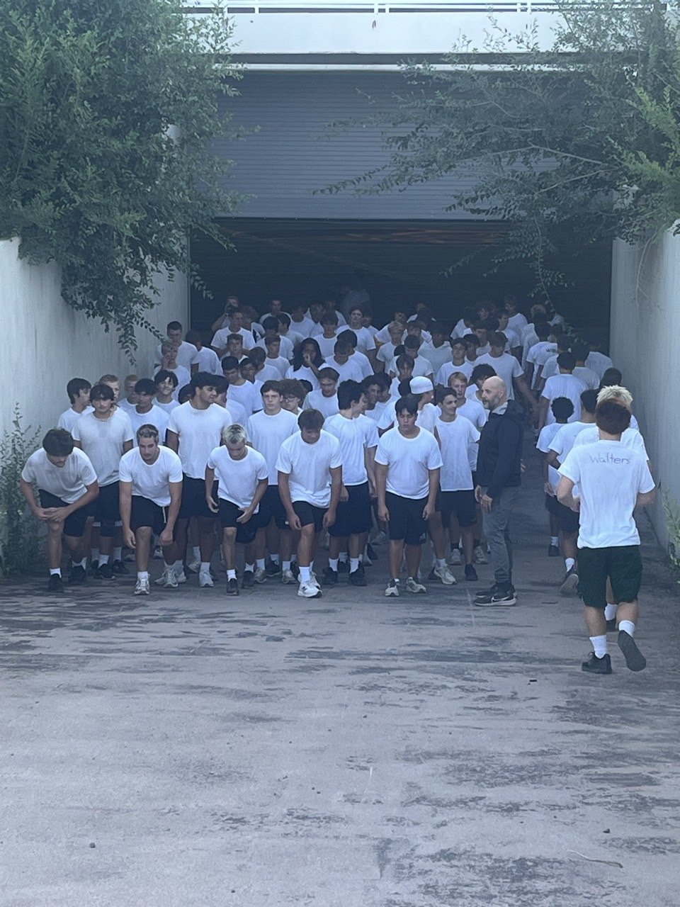 7_a7dUd018svc1p7j5ikkd8dtb_tvlxrl.jpeg