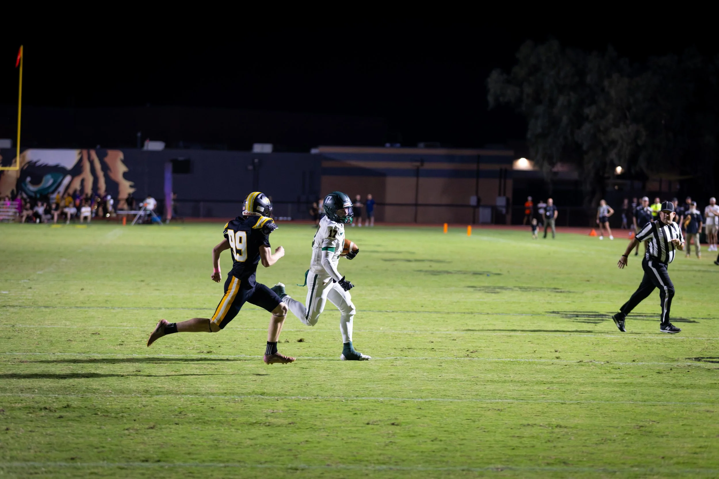 IMG_1439-DxO_DeepPRIME 3-2.jpg