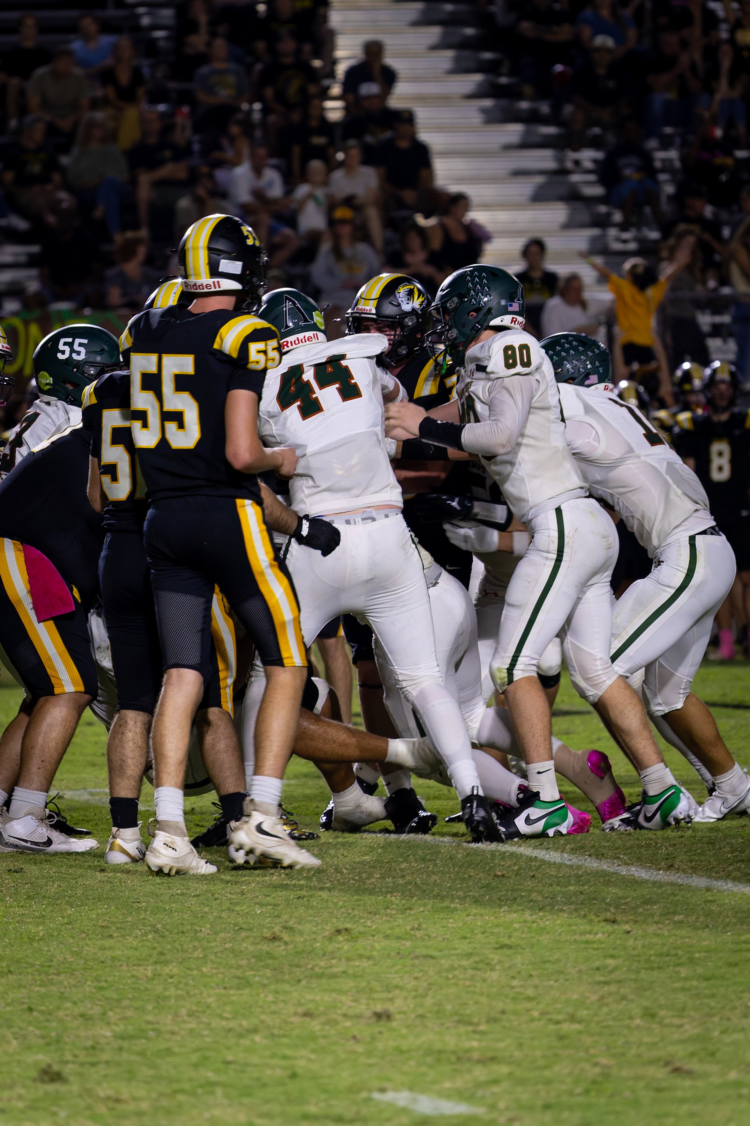 IMG_3808-DxO_DeepPRIME 3.jpg