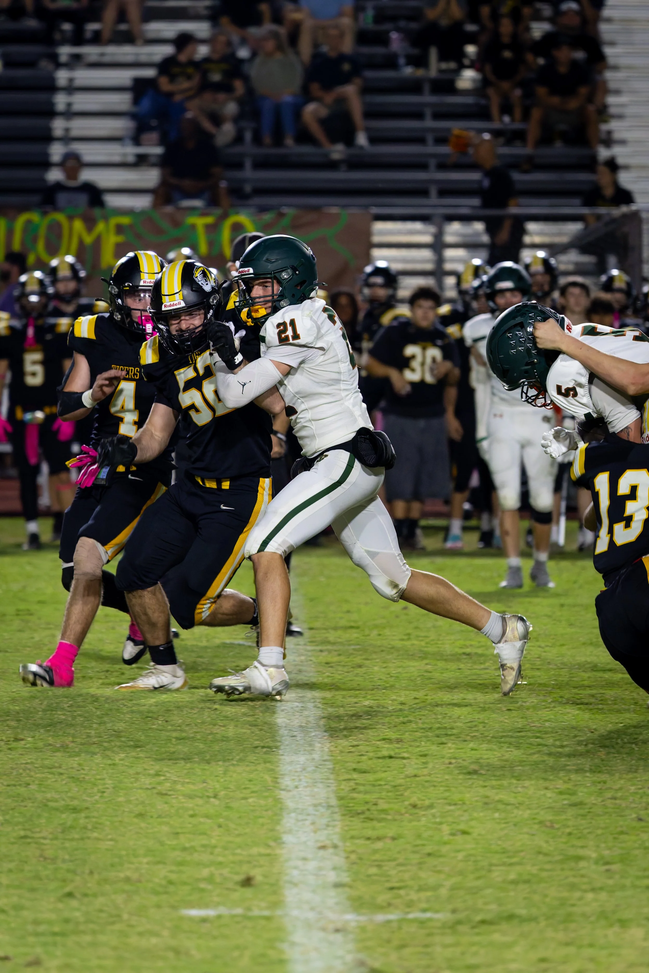 IMG_4117-DxO_DeepPRIME 3.jpg