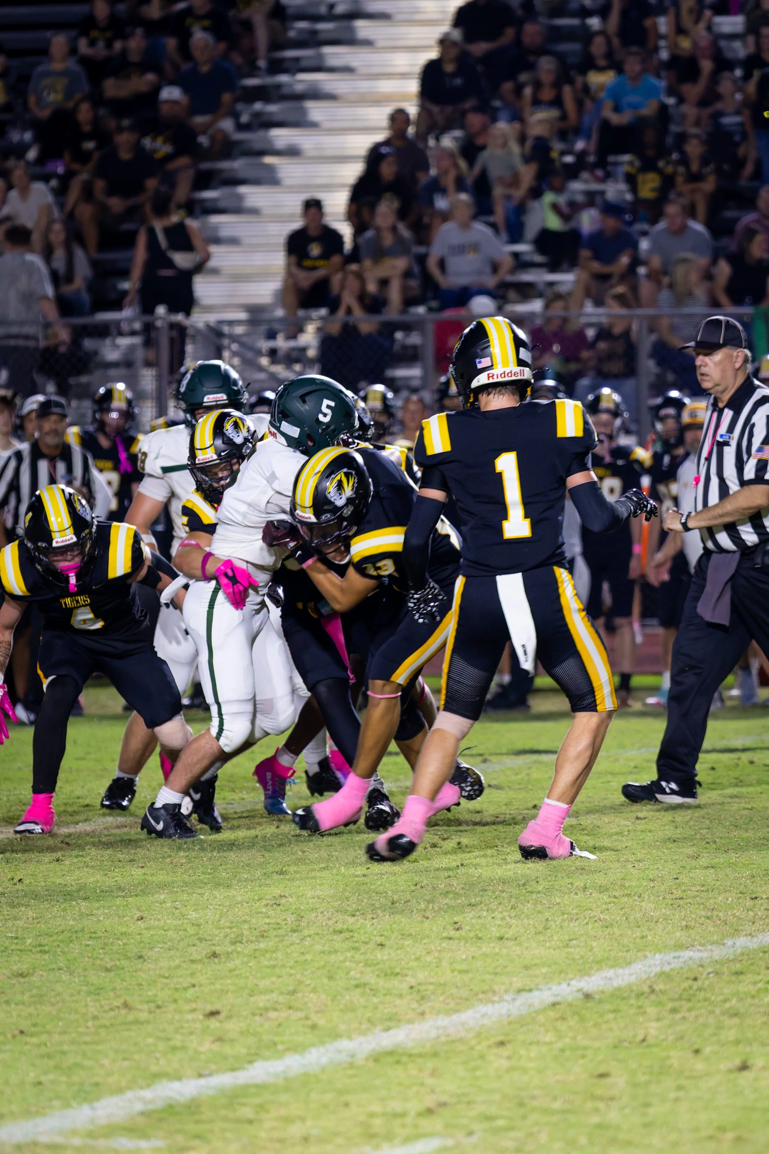 IMG_2225-DxO_DeepPRIME 3.jpg