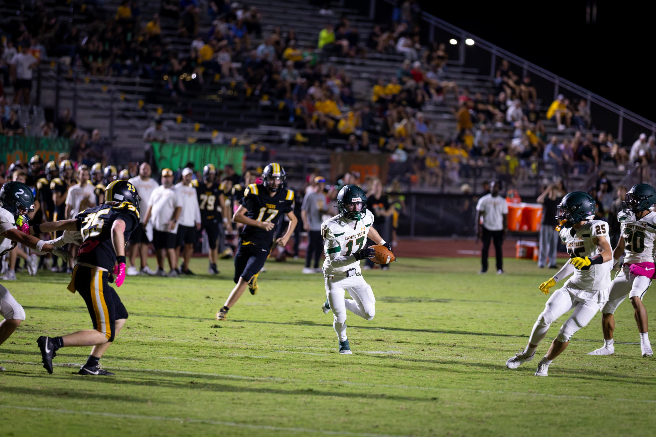 IMG_1425-DxO_DeepPRIME 3.jpg