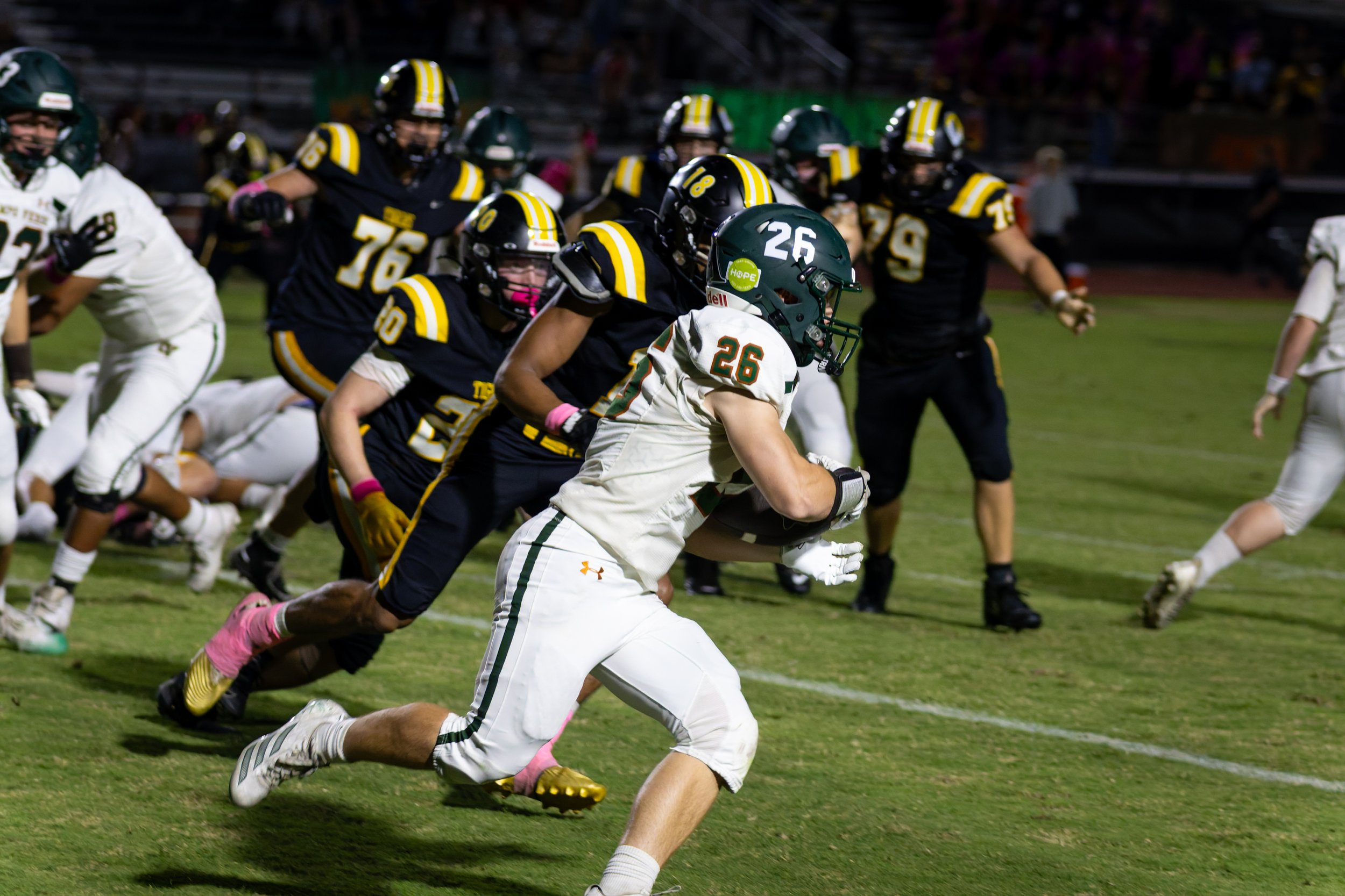 IMG_1780-DxO_DeepPRIME 3.jpg
