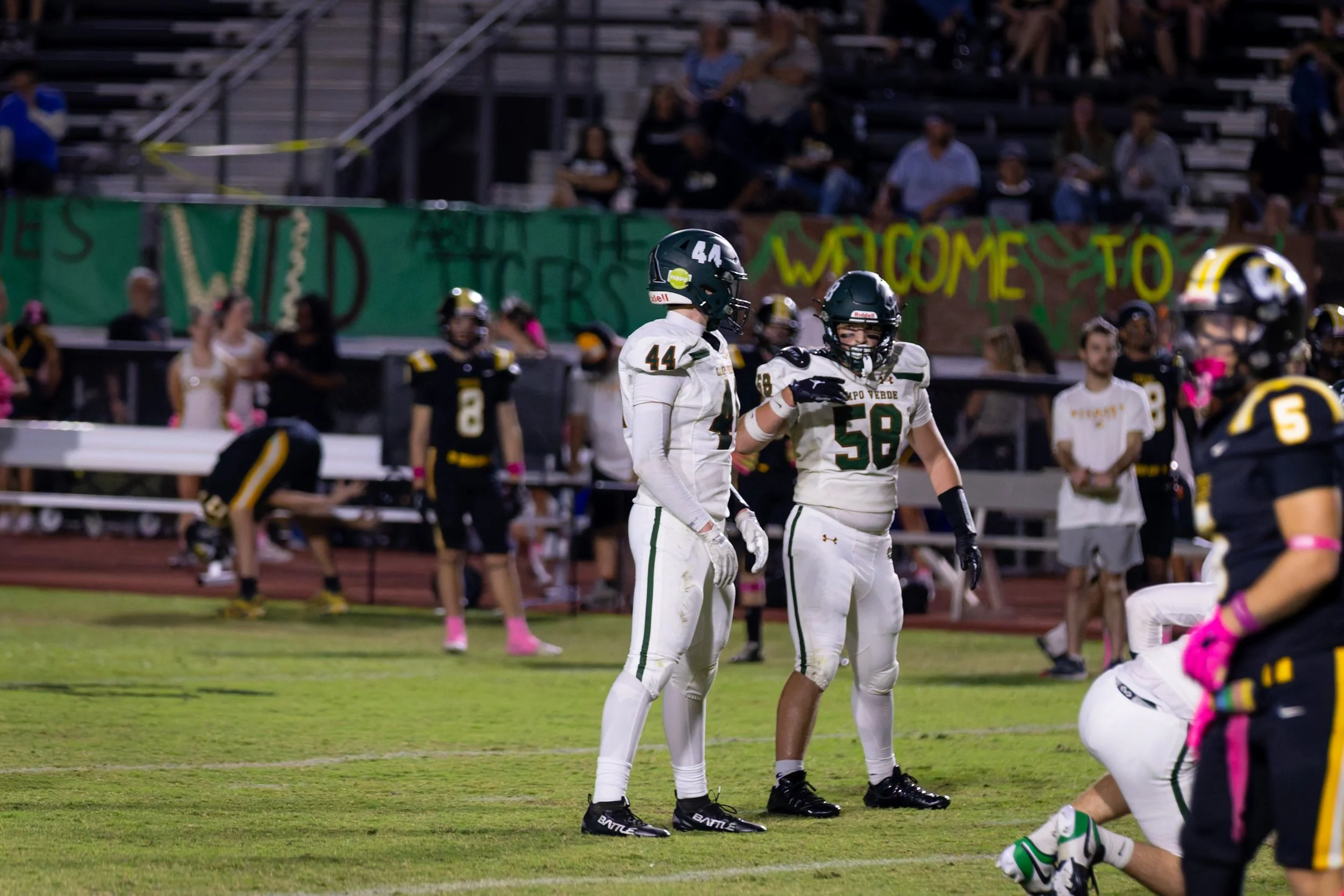 IMG_0910-DxO_DeepPRIME 3.jpg