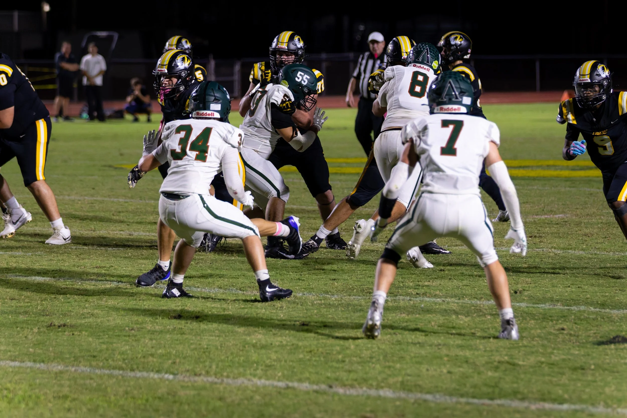 IMG_1215-DxO_DeepPRIME 3.jpg
