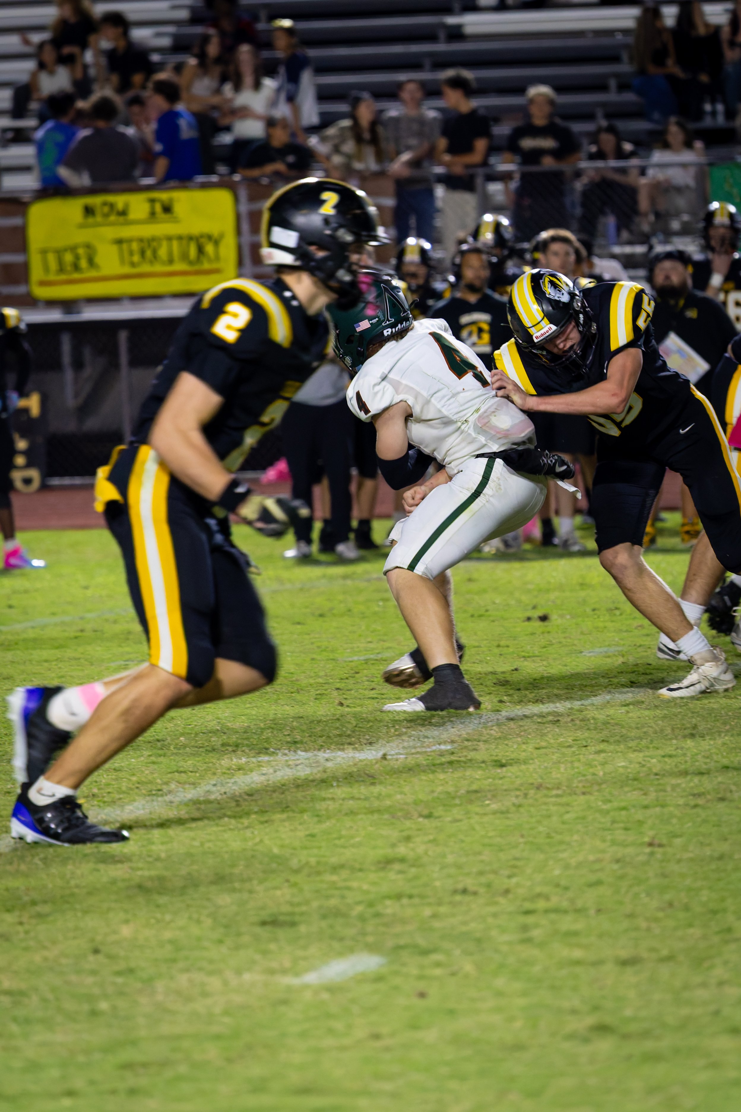 IMG_4464-DxO_DeepPRIME 3.jpg