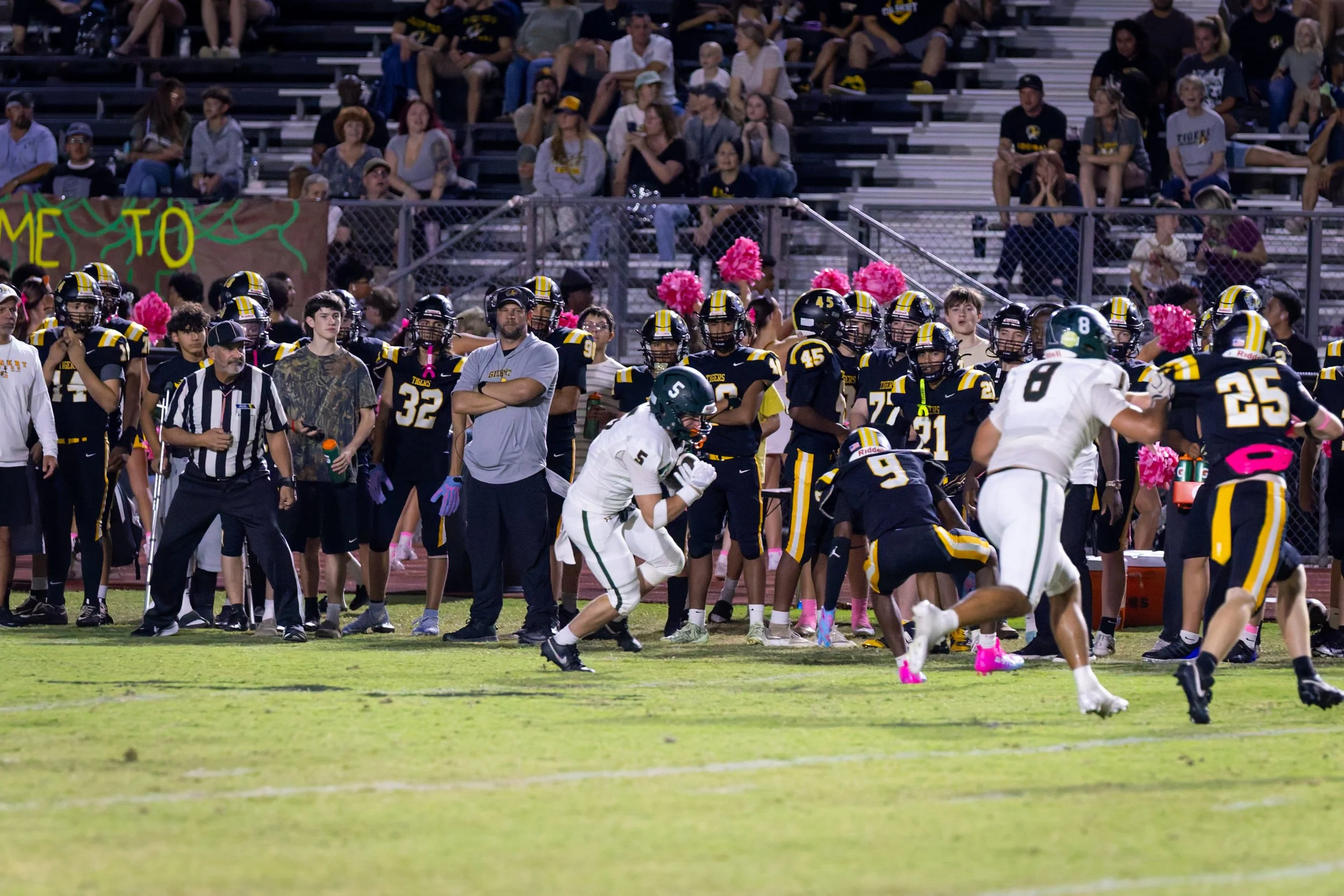 IMG_0956-DxO_DeepPRIME 3.jpg