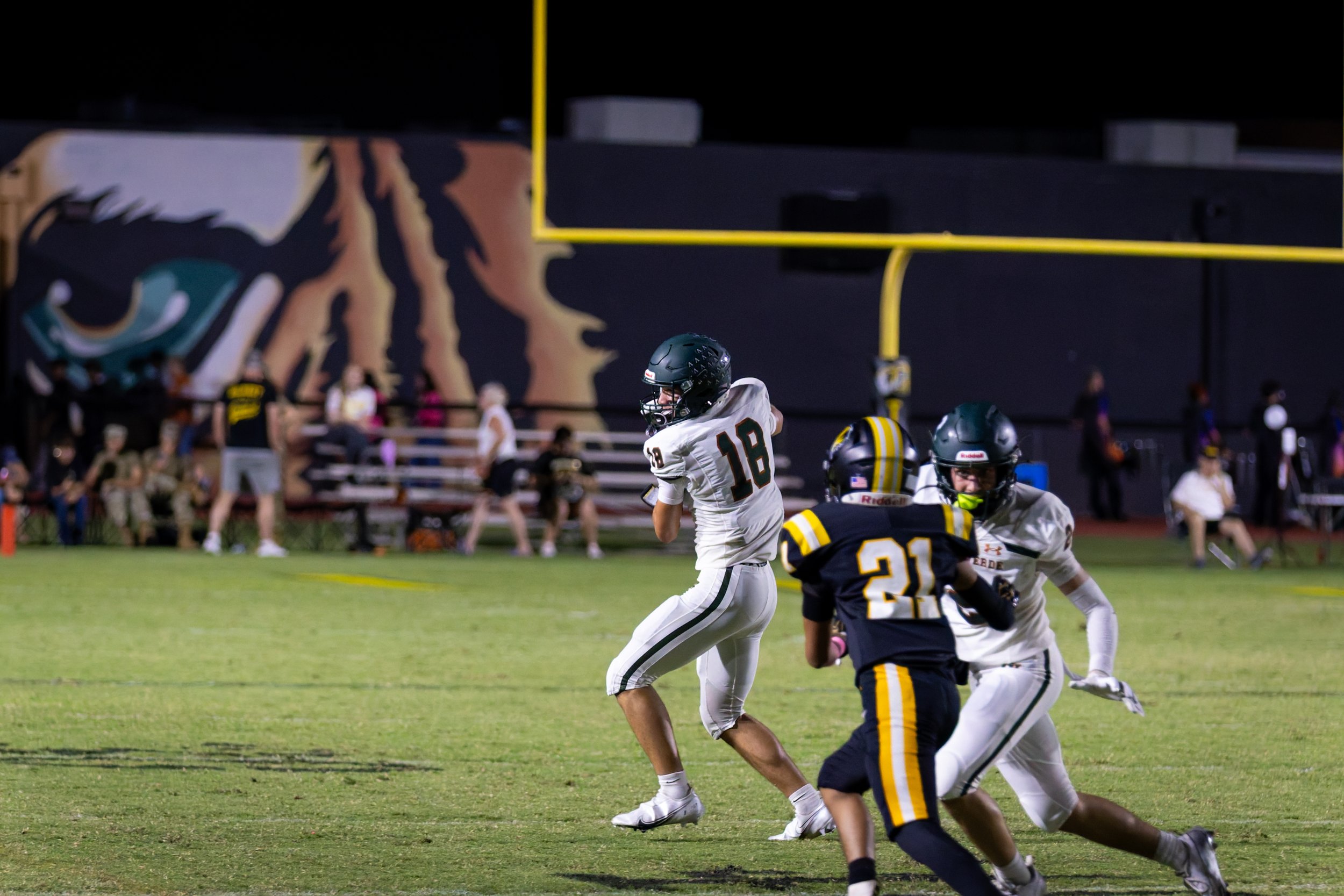 IMG_1240-DxO_DeepPRIME 3.jpg