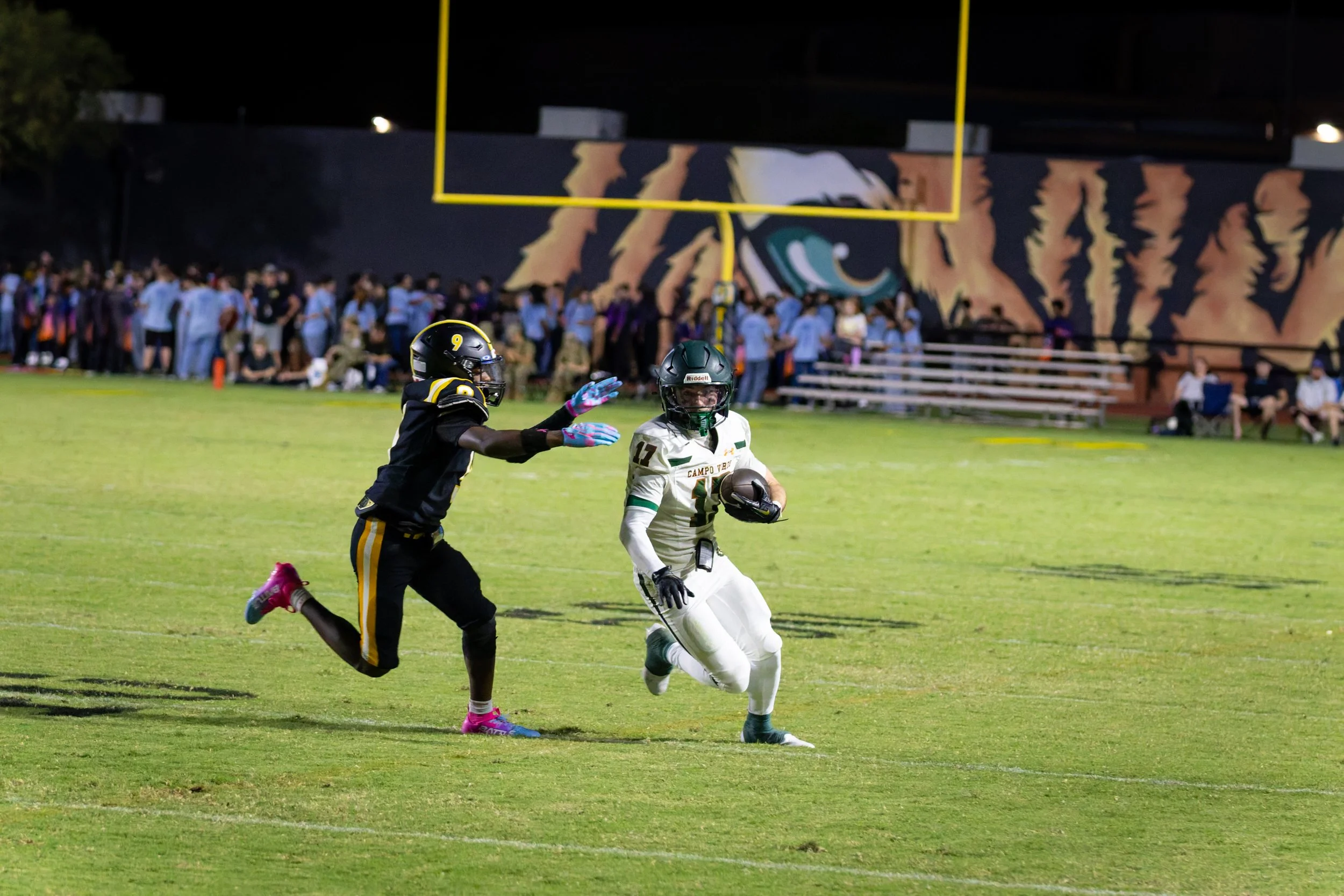 IMG_1564-DxO_DeepPRIME 3.jpg