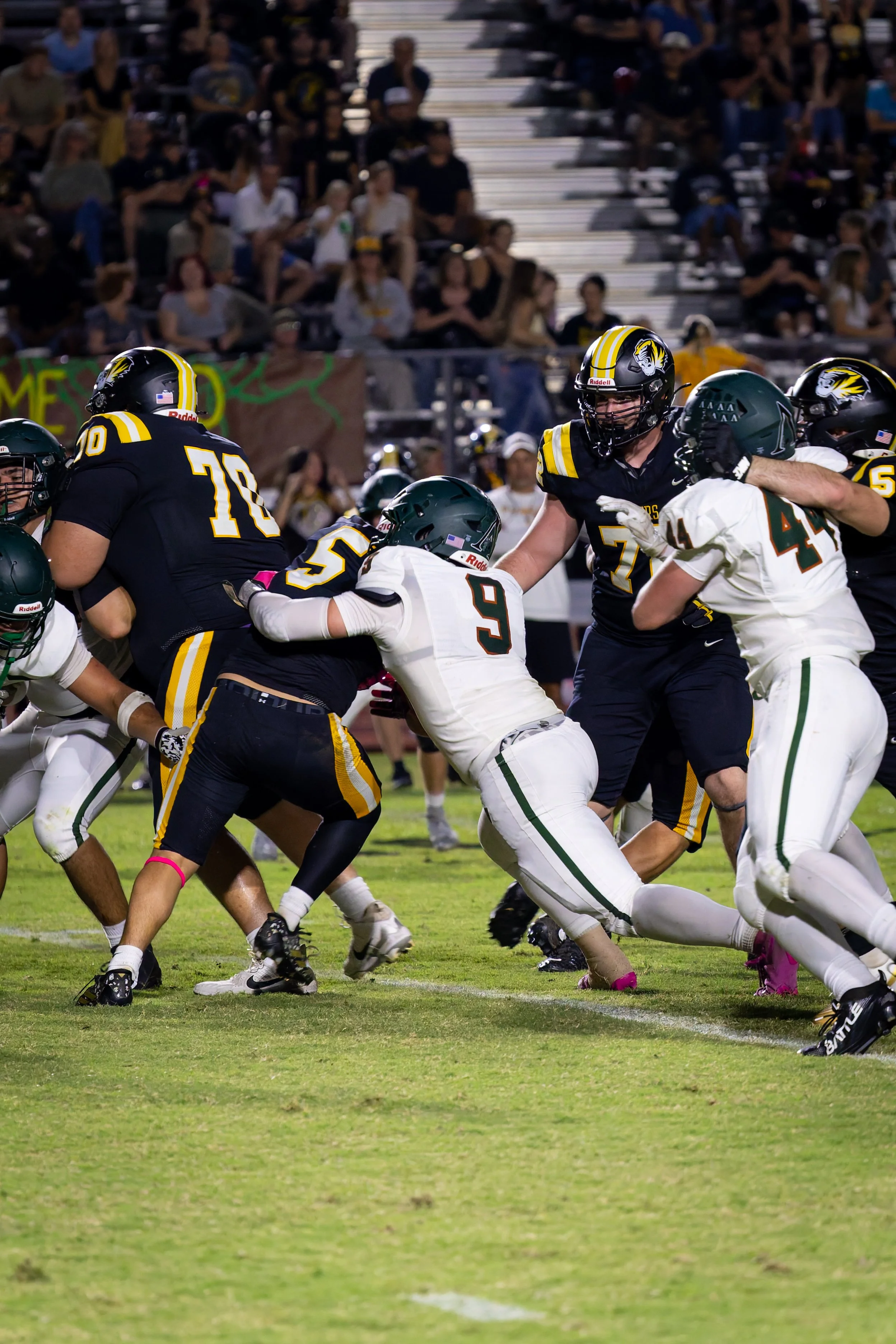 IMG_3787-DxO_DeepPRIME 3.jpg