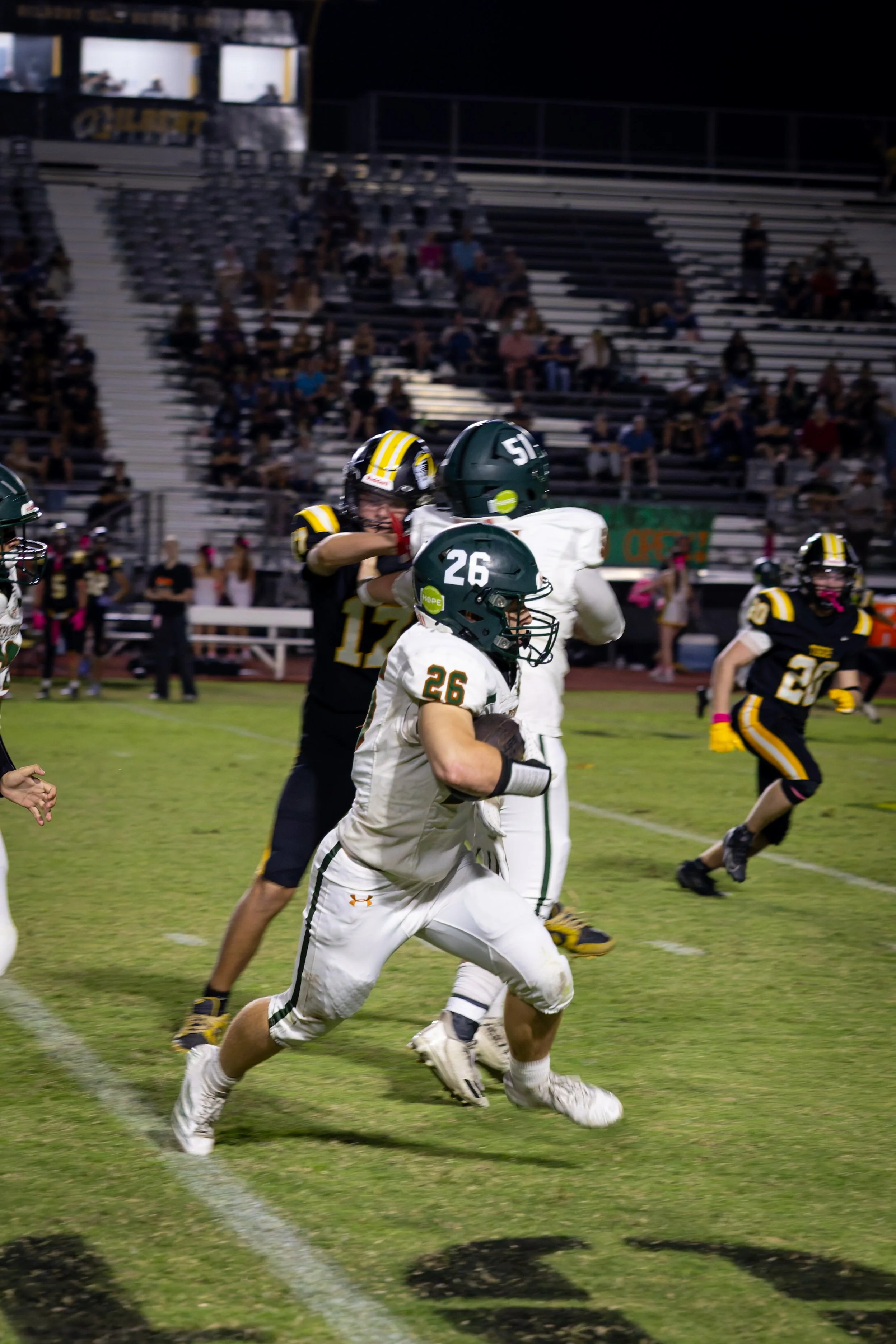 IMG_5208-DxO_DeepPRIME 3.jpg