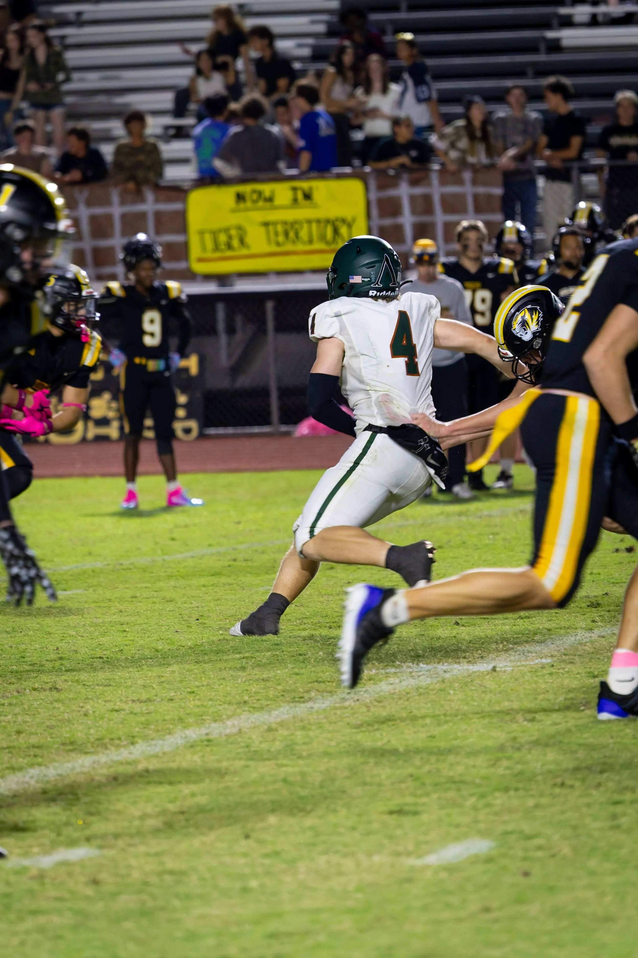 IMG_4468-DxO_DeepPRIME 3.jpg