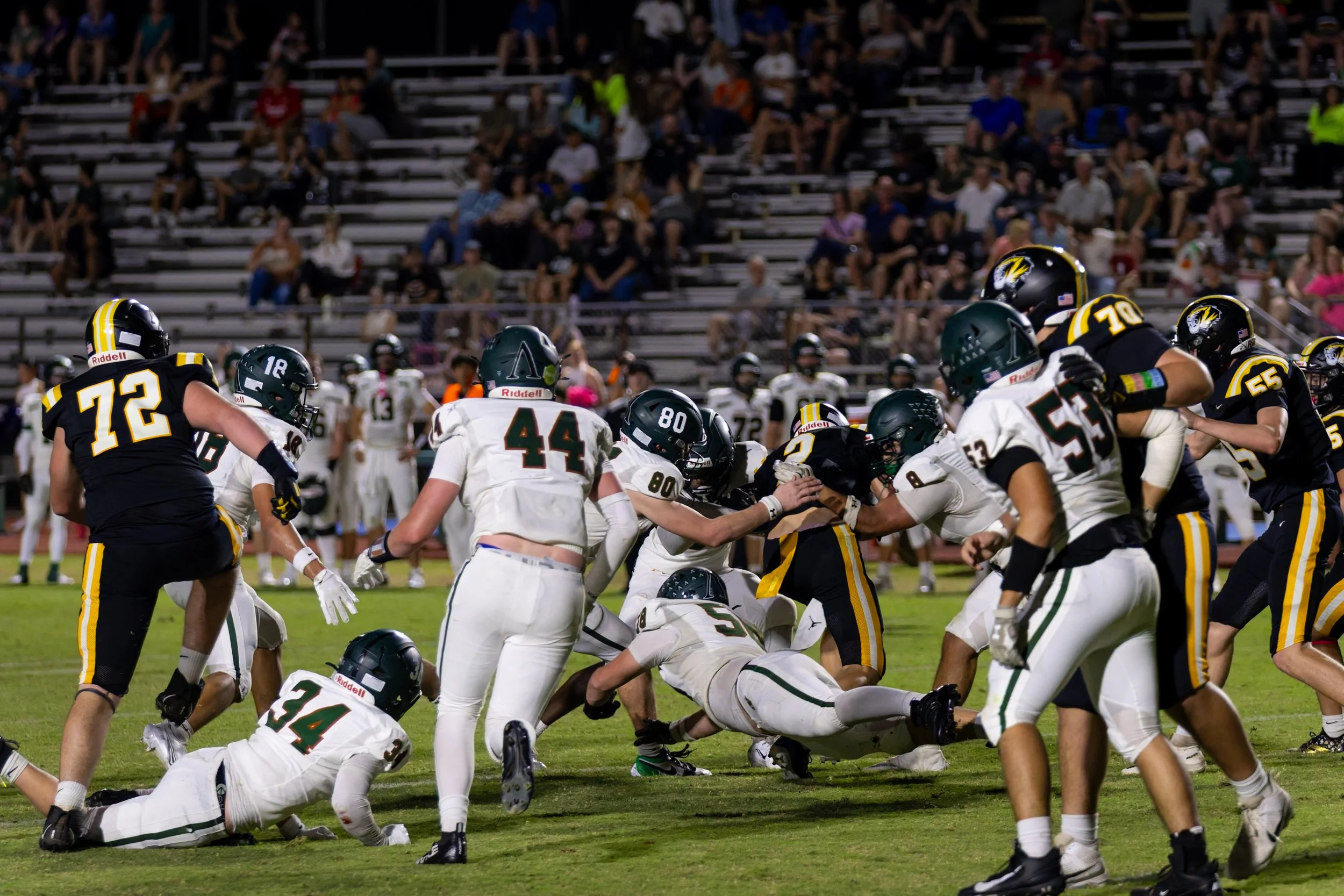 IMG_1365-DxO_DeepPRIME 3.jpg
